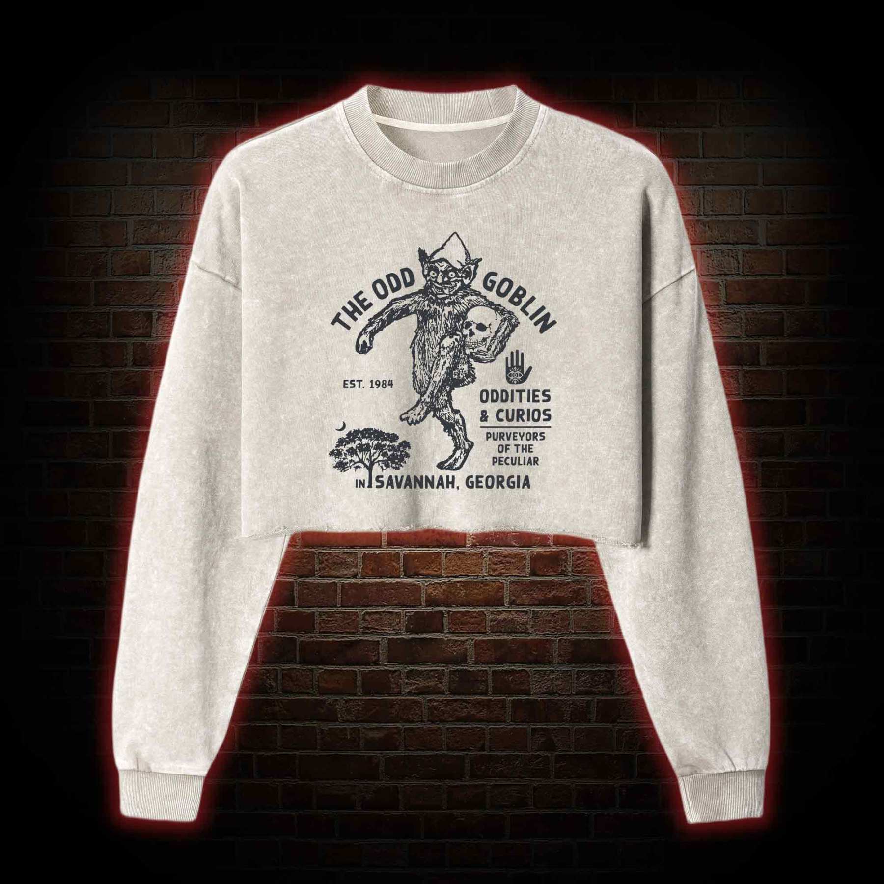 The Odd Goblin Washed Cropped Sweatshirts