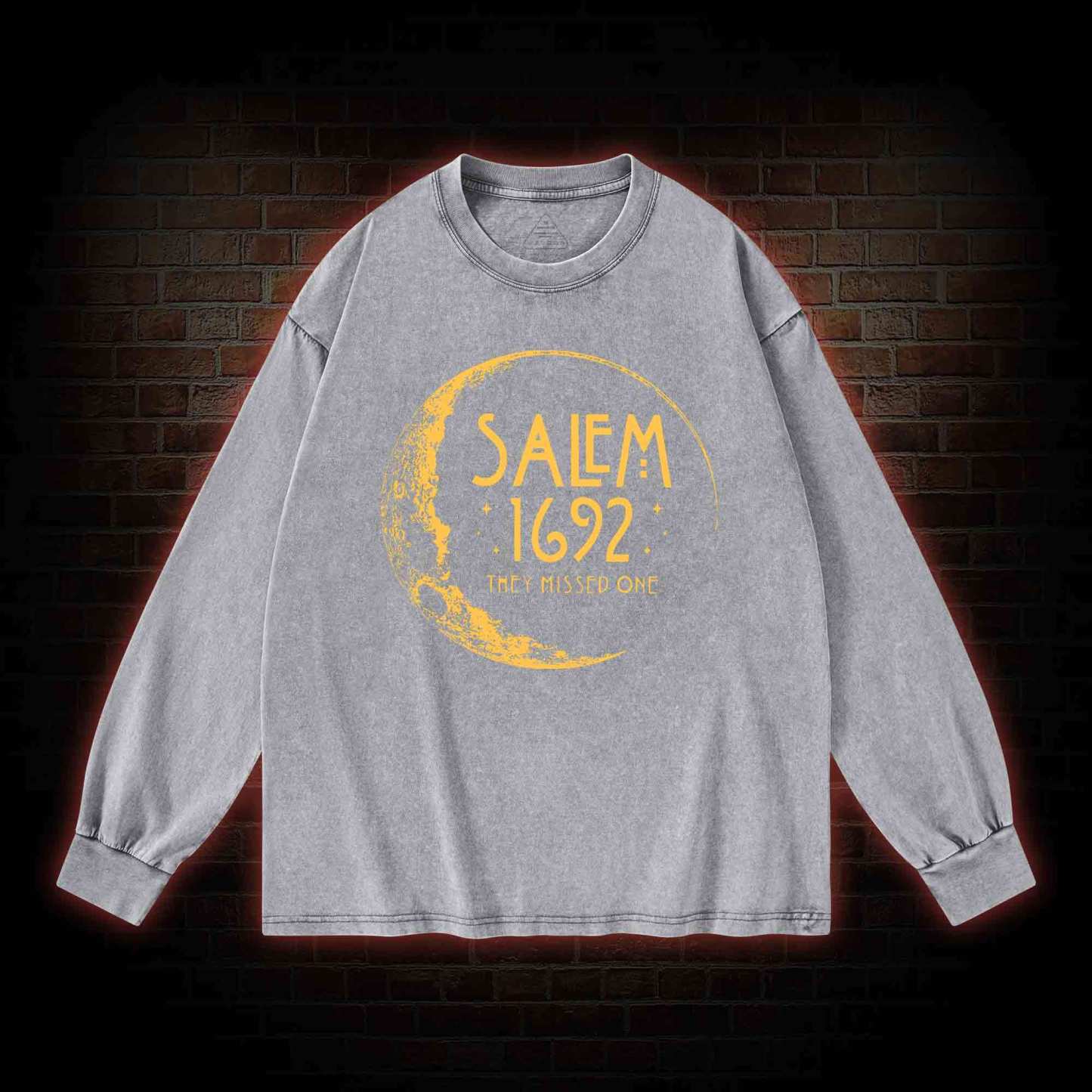 They Missed One Washed Long-Sleeve T-shirt