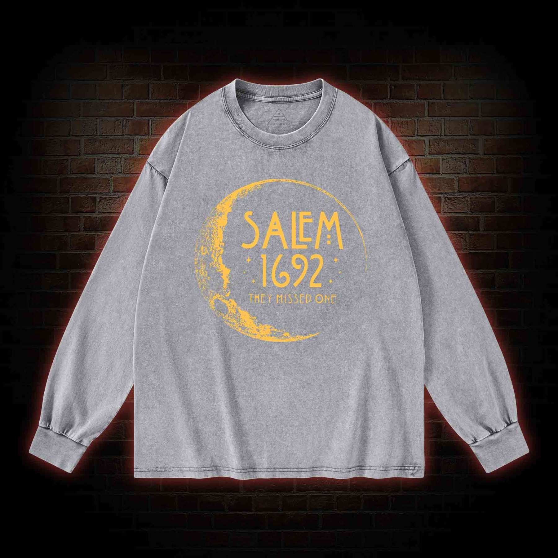 They Missed One Washed Long-Sleeve T-shirt