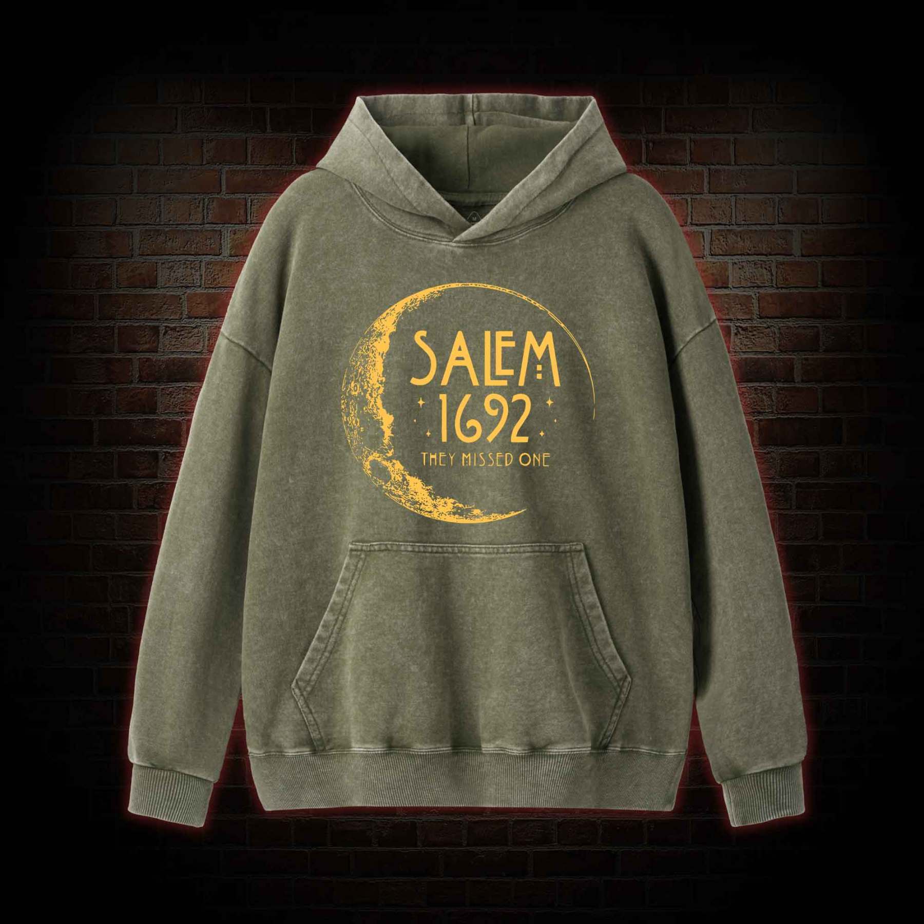 They Missed One Washed Hoodie