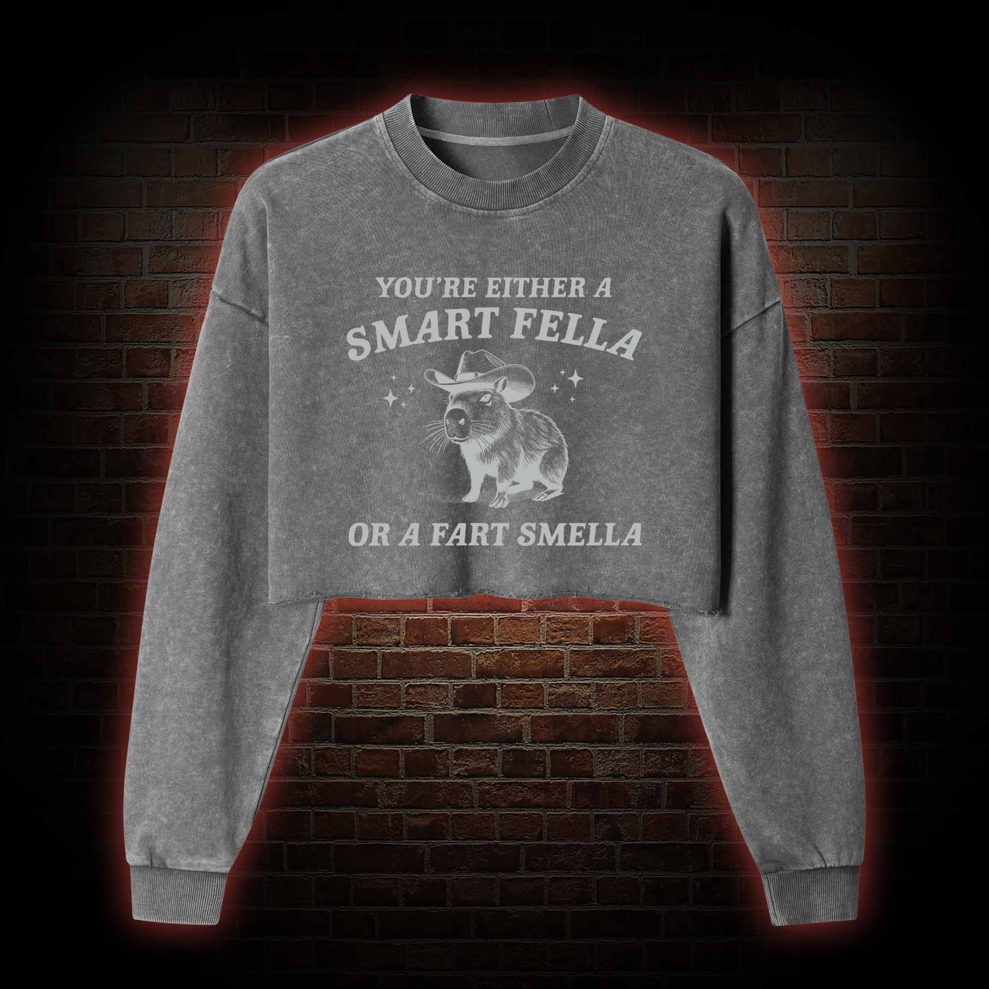 Smart Fella Or Fart Smella Washed Cropped Sweatshirts