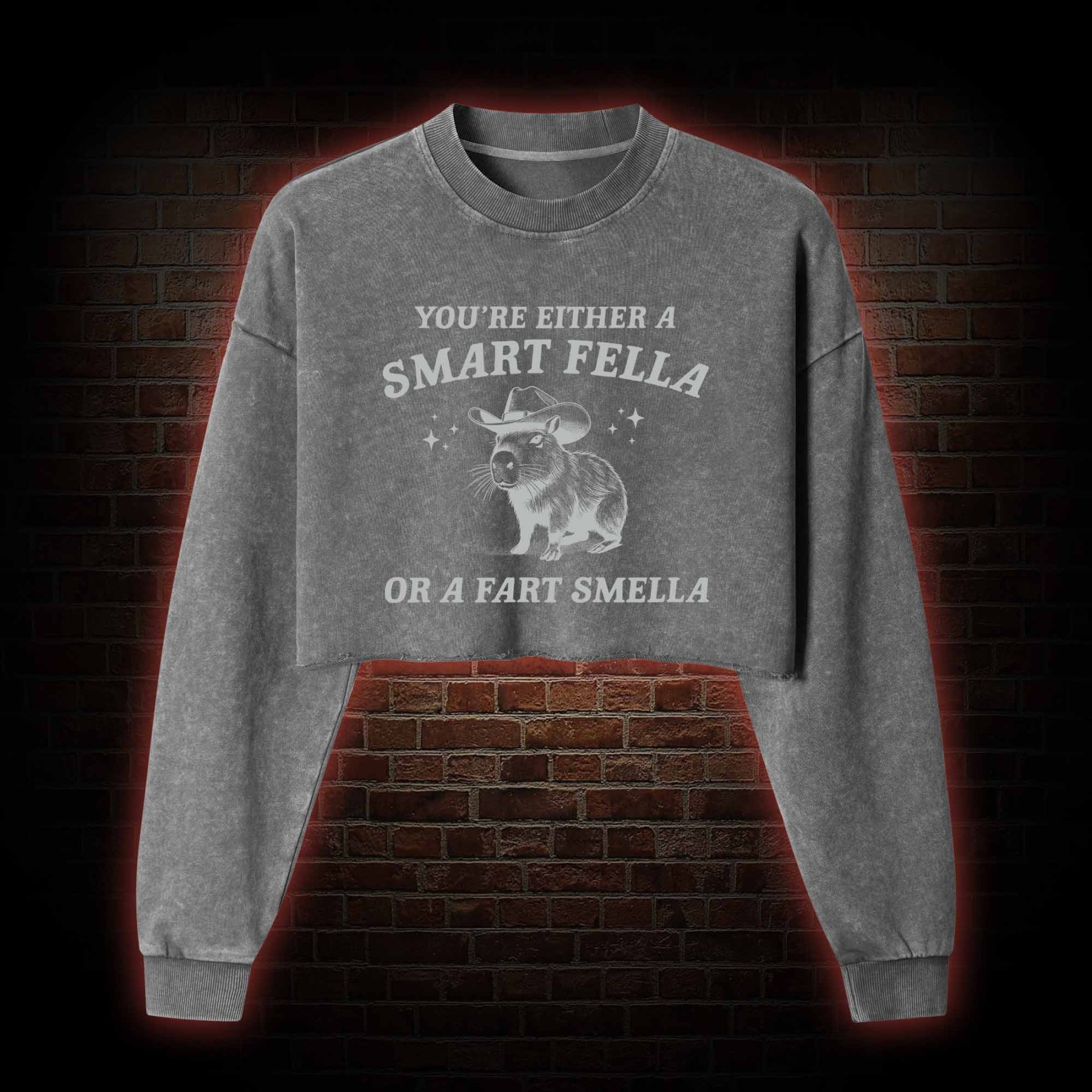 Smart Fella Or Fart Smella Washed Cropped Sweatshirts