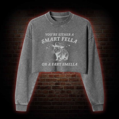 Smart Fella Or Fart Smella Washed Cropped Sweatshirts