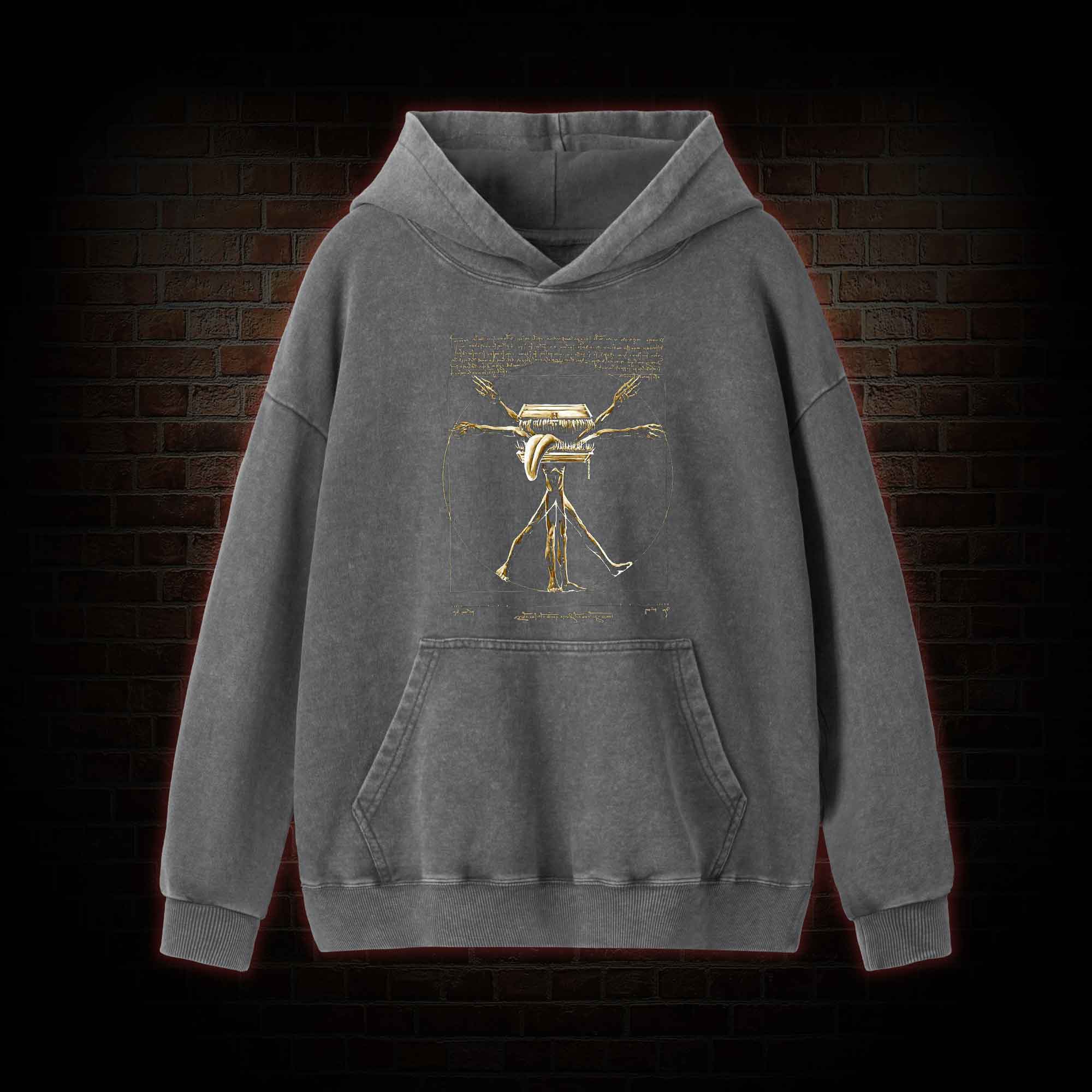 The Mimic Washed Hoodie