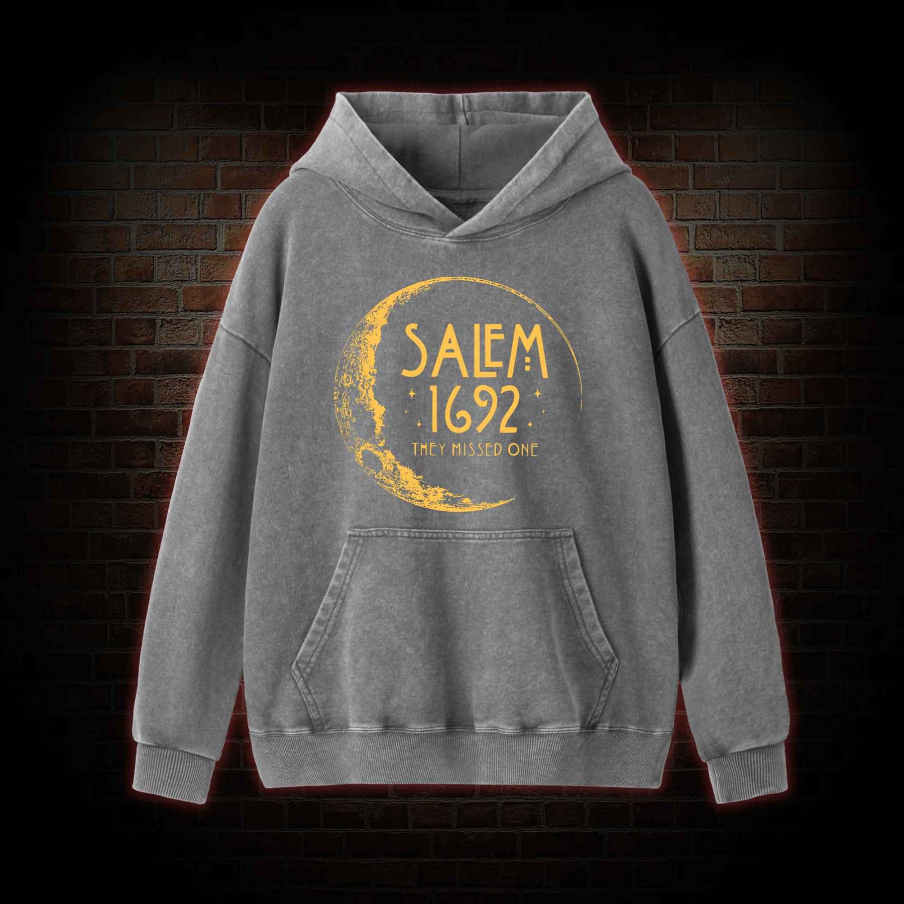 They Missed One Washed Hoodie