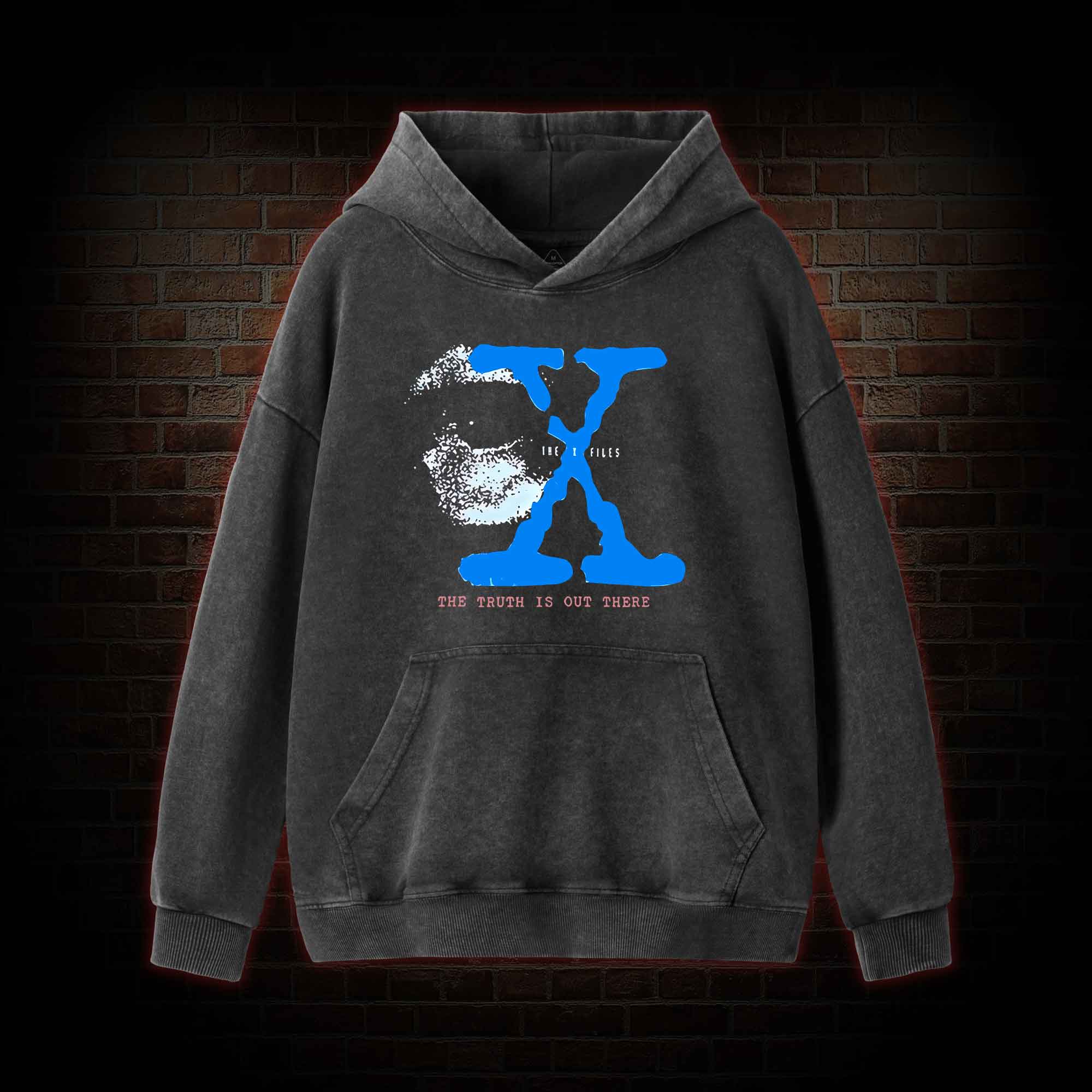 Retro The Truth is Out There Washed Hoodie