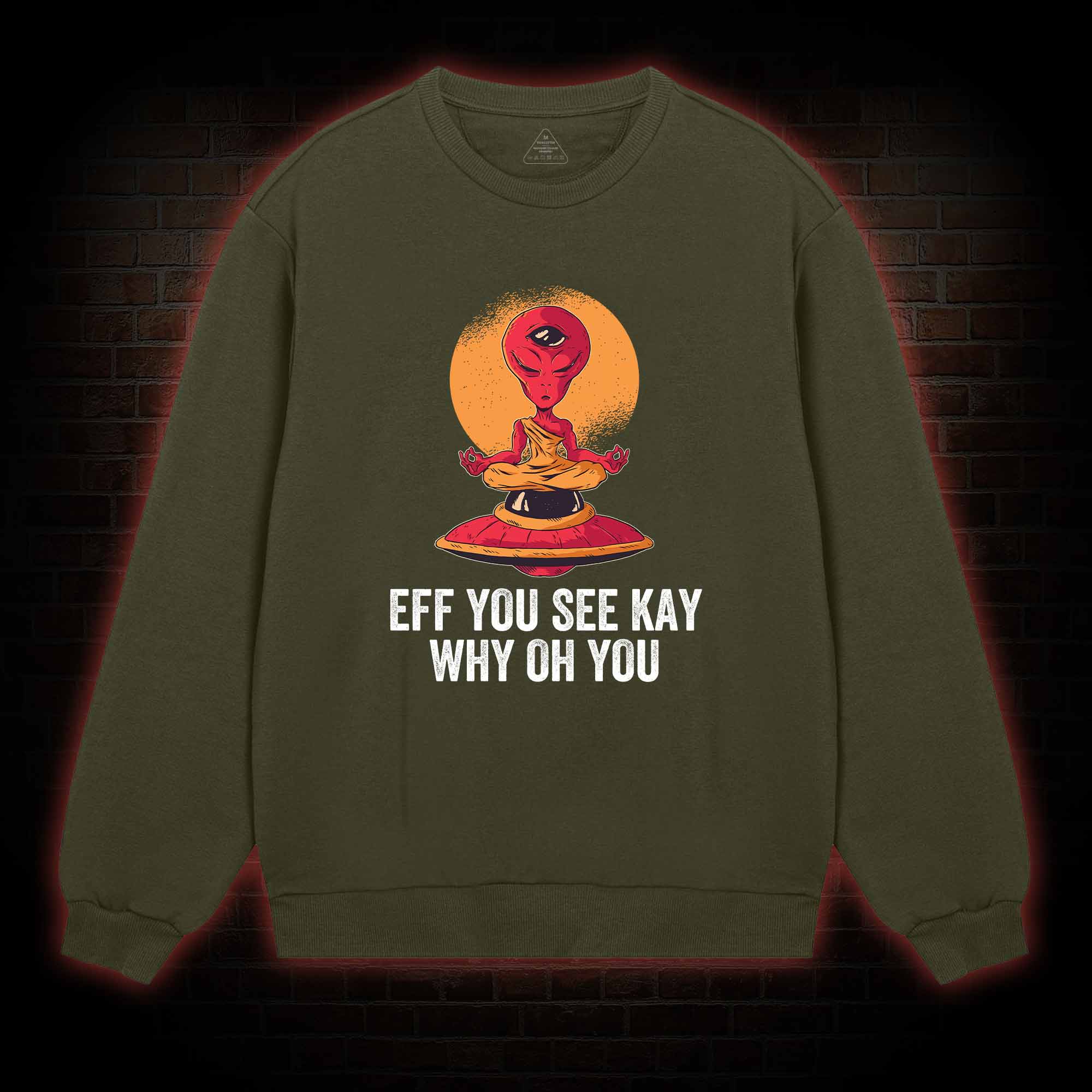 Eff You See Kay Why Oh You Alien Sweatshirt