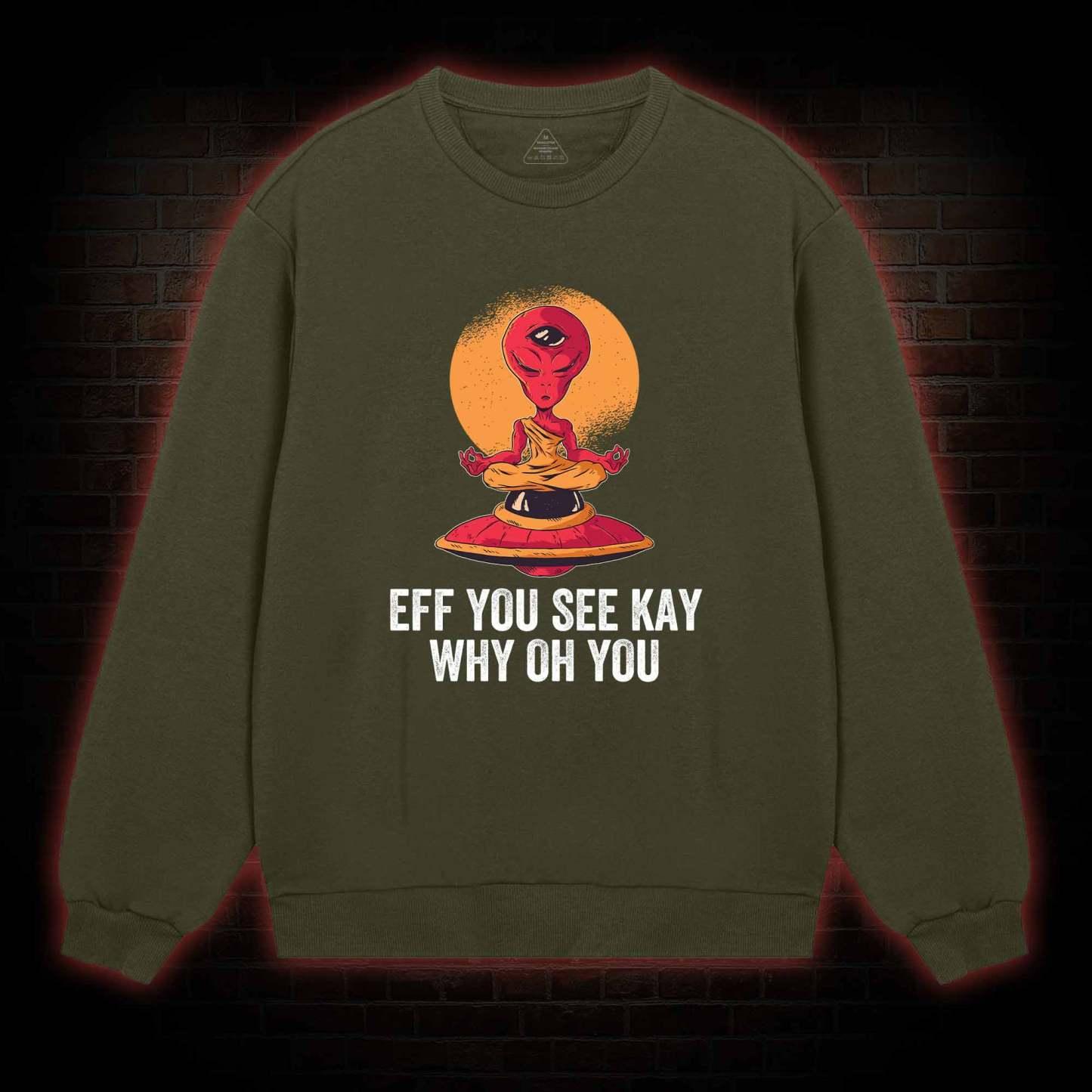 Eff You See Kay Why Oh You Alien Sweatshirt