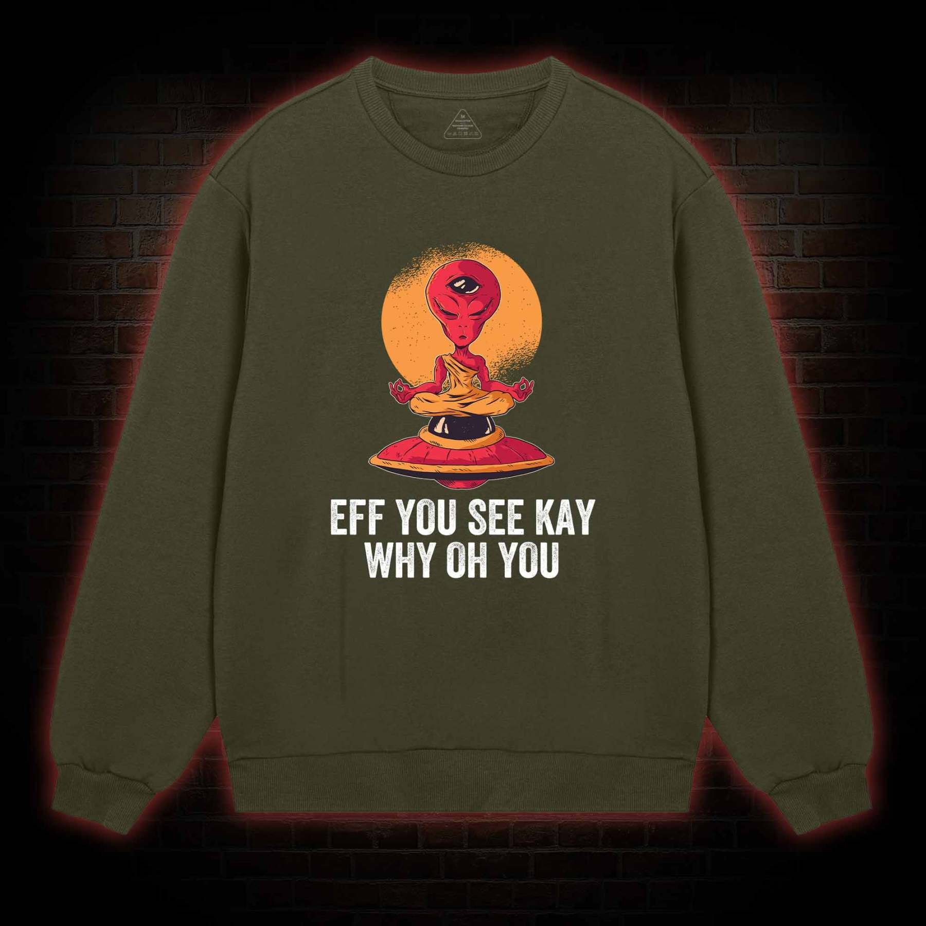 Eff You See Kay Why Oh You Alien Sweatshirt