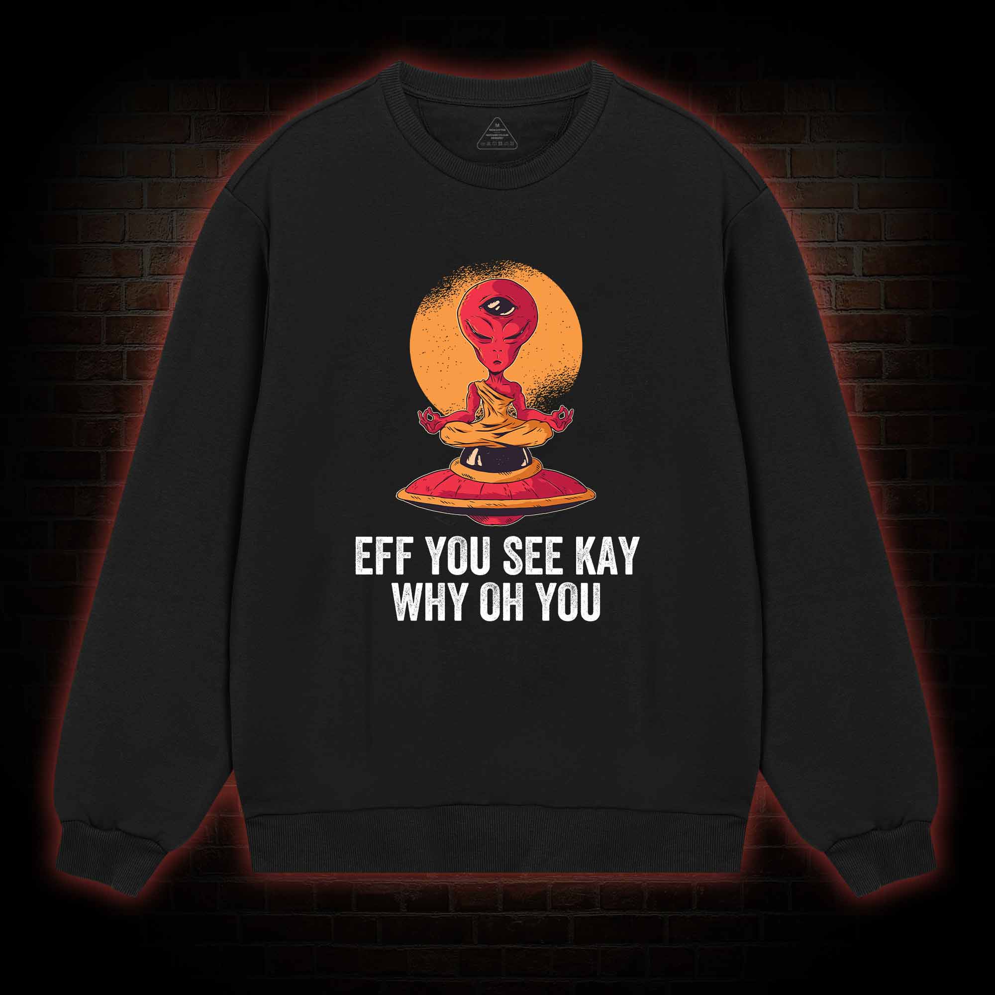 Eff You See Kay Why Oh You Alien Sweatshirt