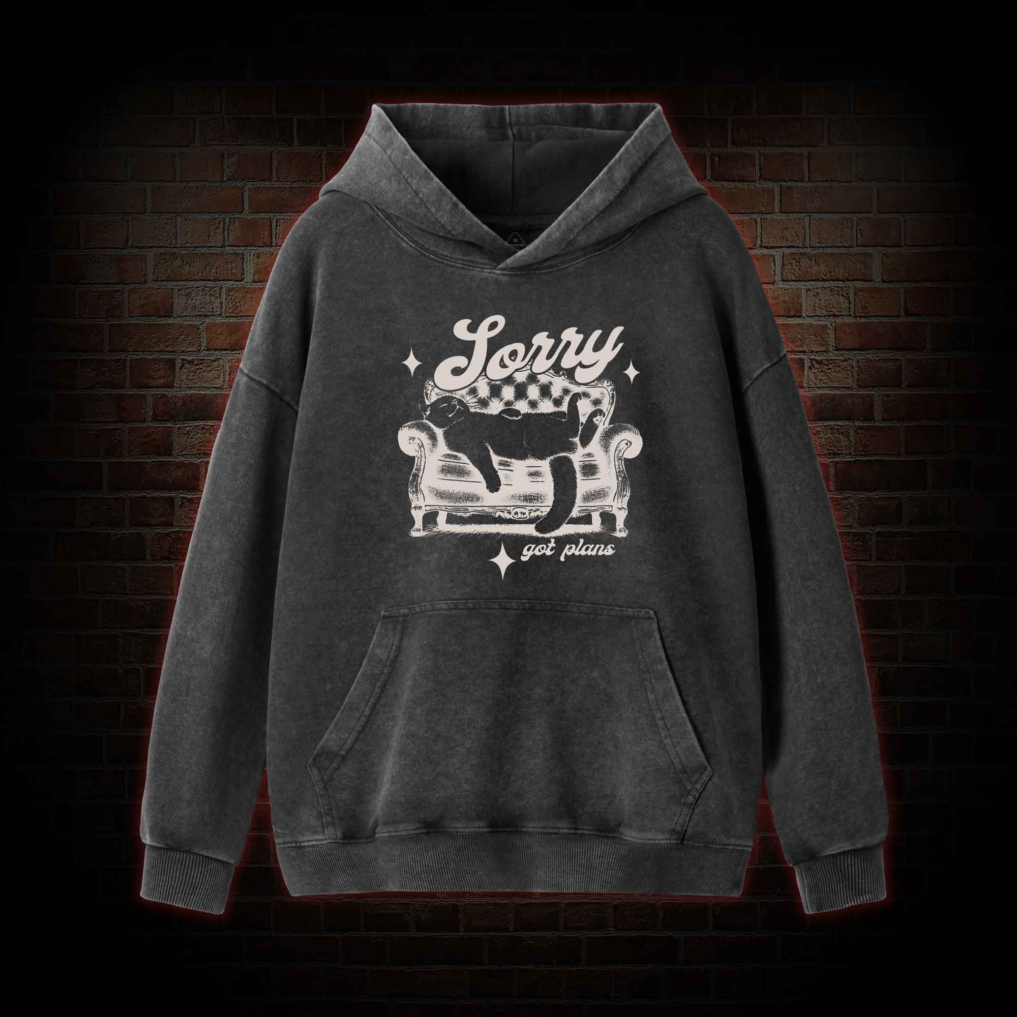 Sorry Got Plan Washed Hoodie
