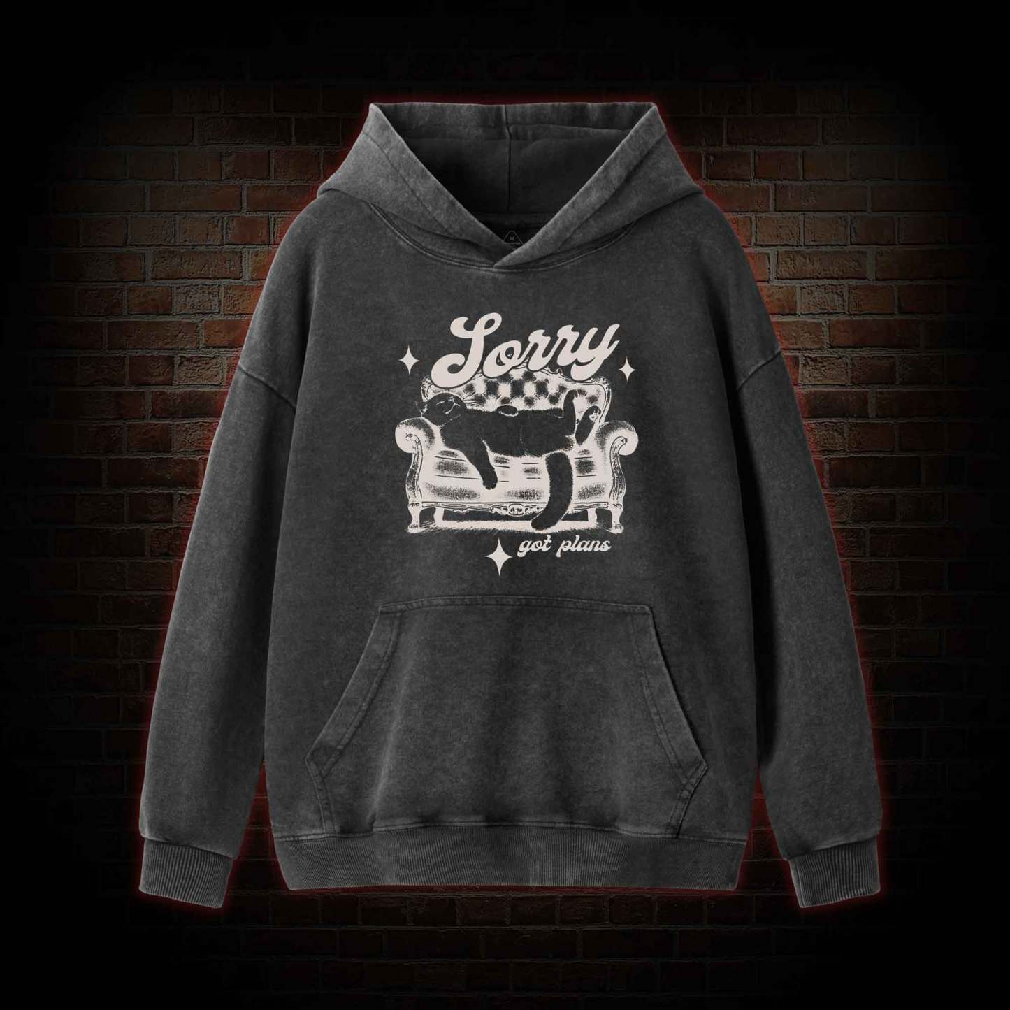 Sorry Got Plan Washed Hoodie