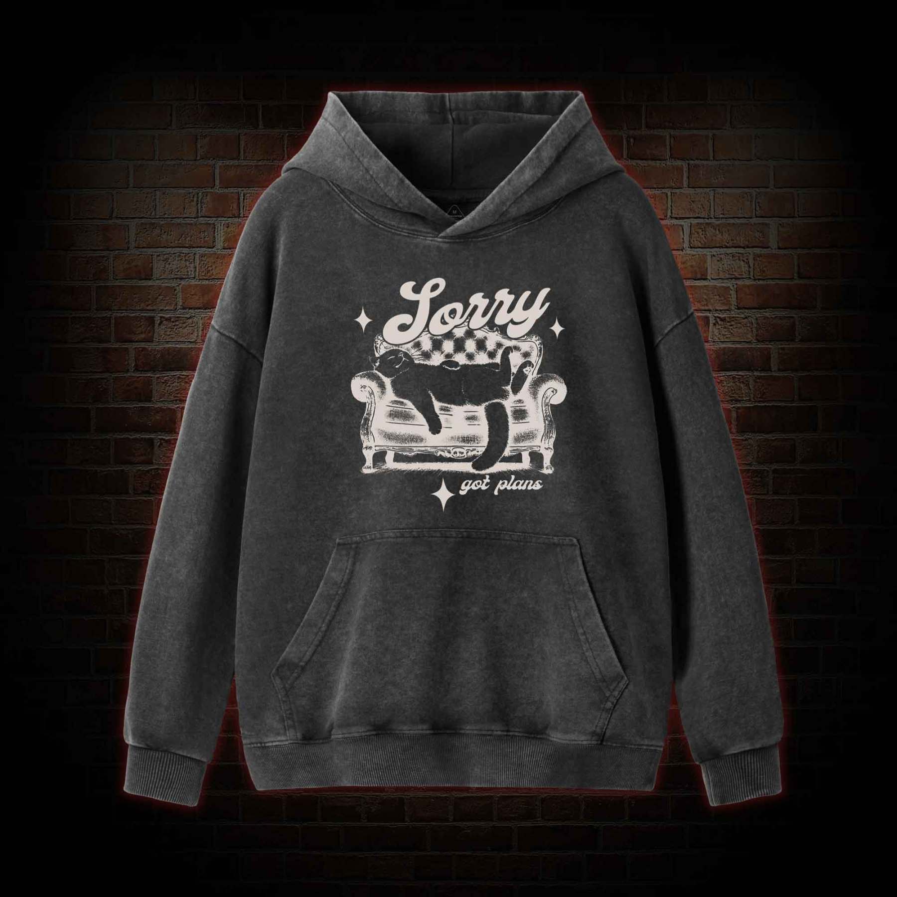 Sorry Got Plan Washed Hoodie