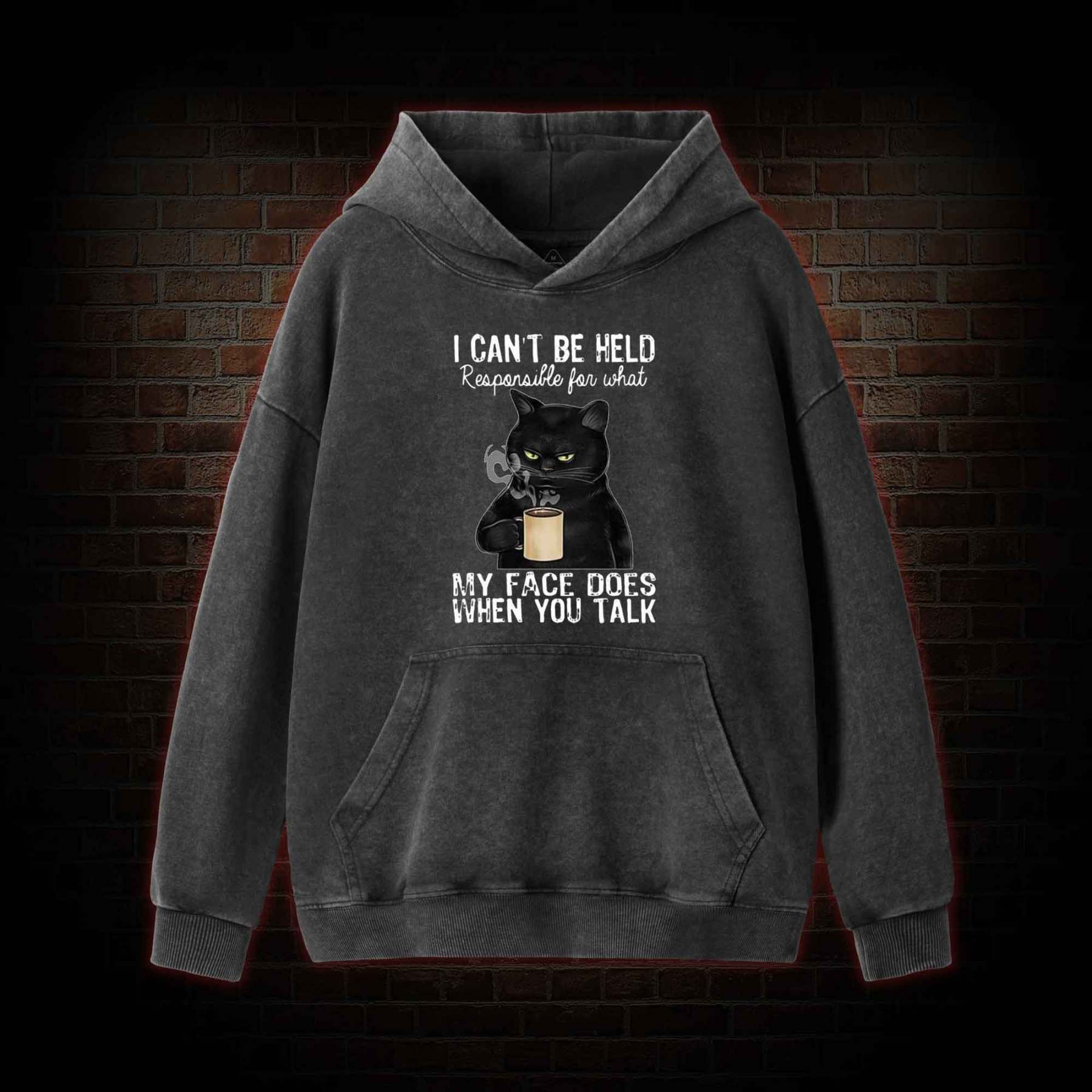 I Can’t Be Held Responsible For What My Face Does Washed Hoodie