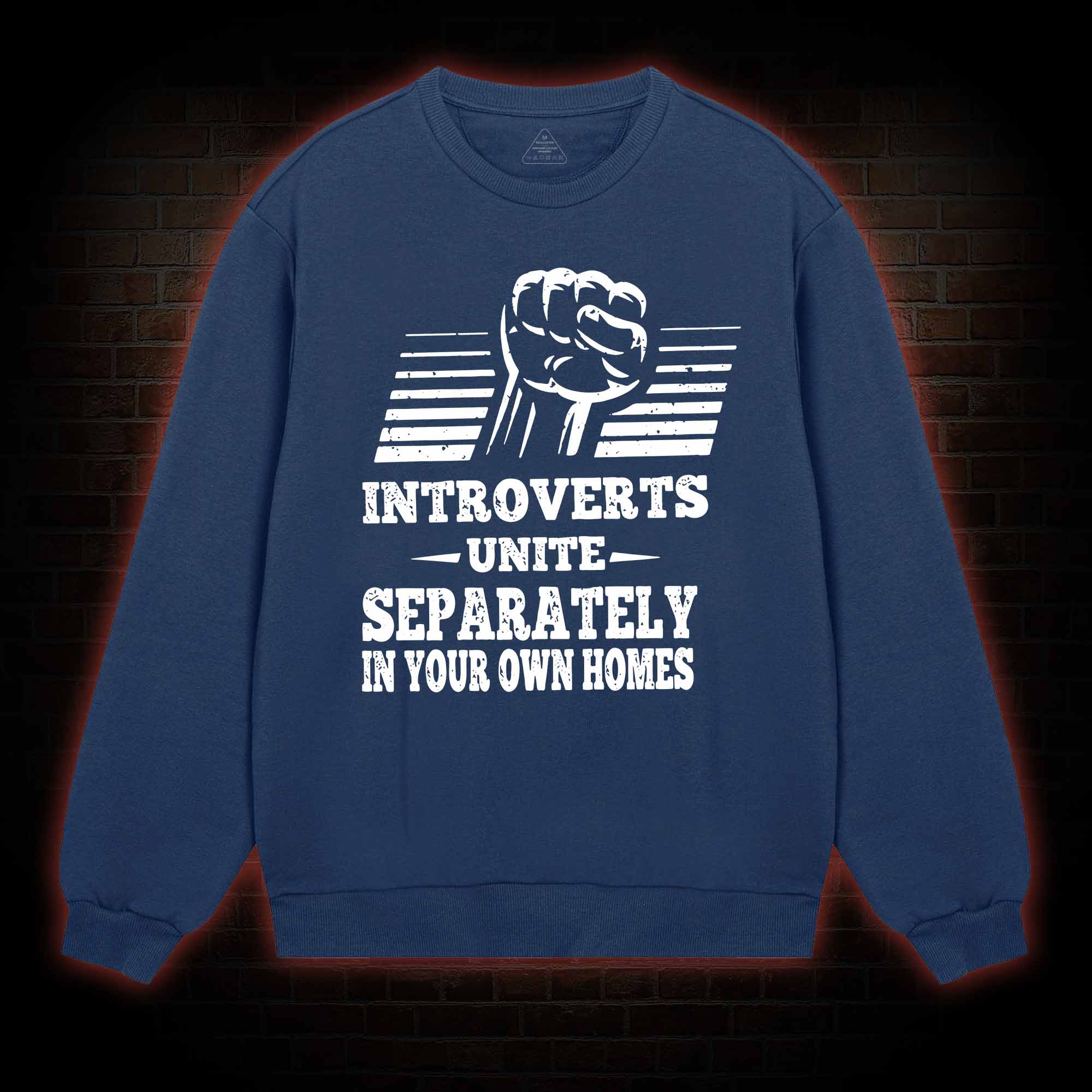 Introverts Unite Separately In Your Own Homes Sweatshirt