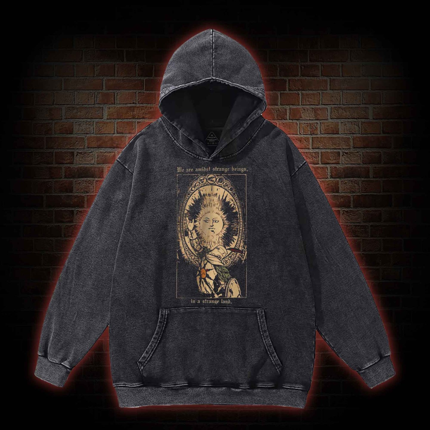 We are Amidst Strange Beings Washed Hoodie