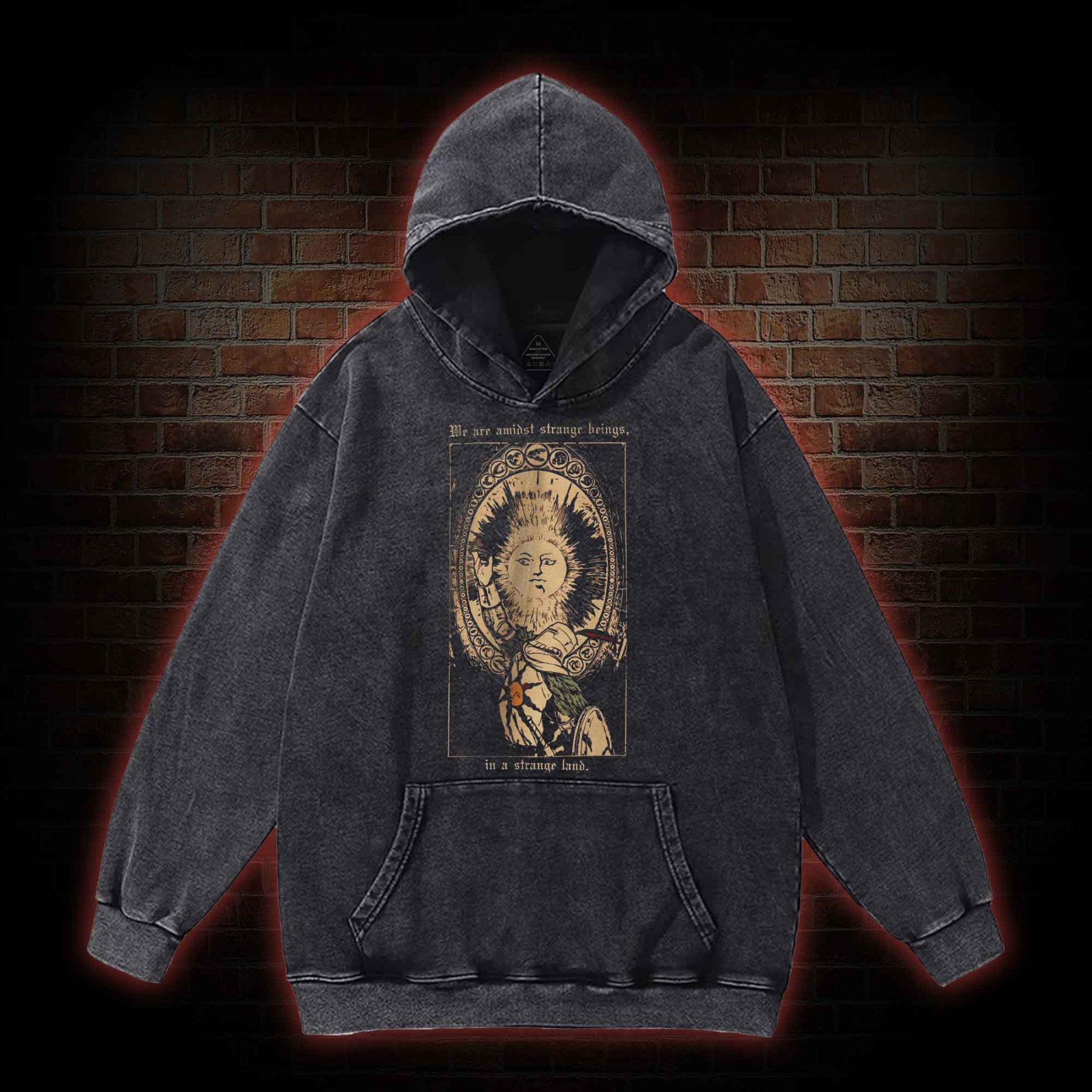 We are Amidst Strange Beings Washed Hoodie