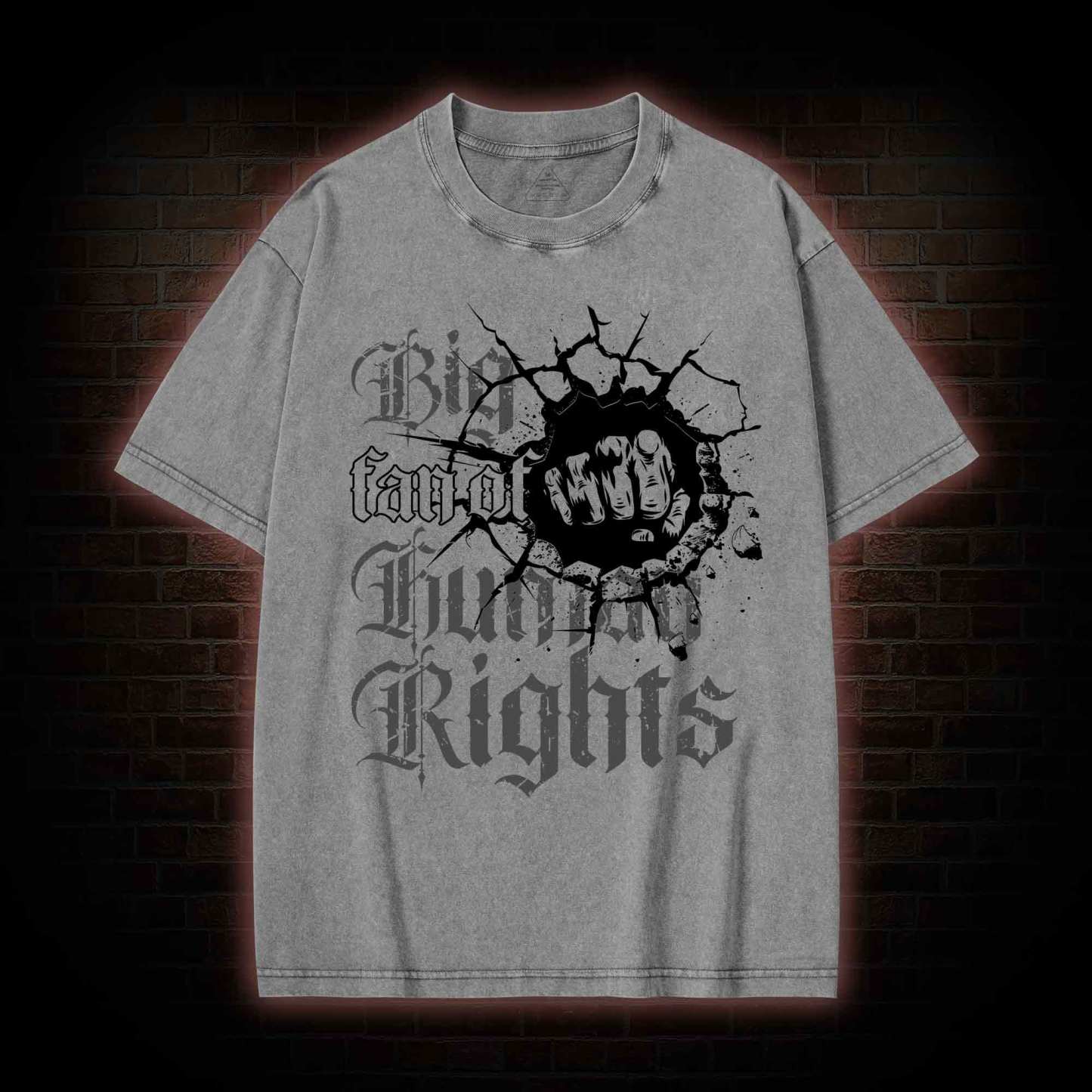 Vintage Big Fan of Human Rights Washed T-shirt