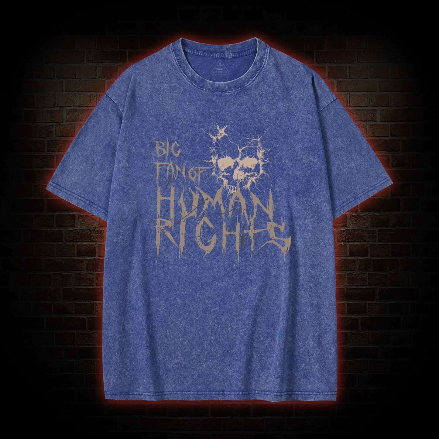 Big Fan of Human Rights Washed T-shirt