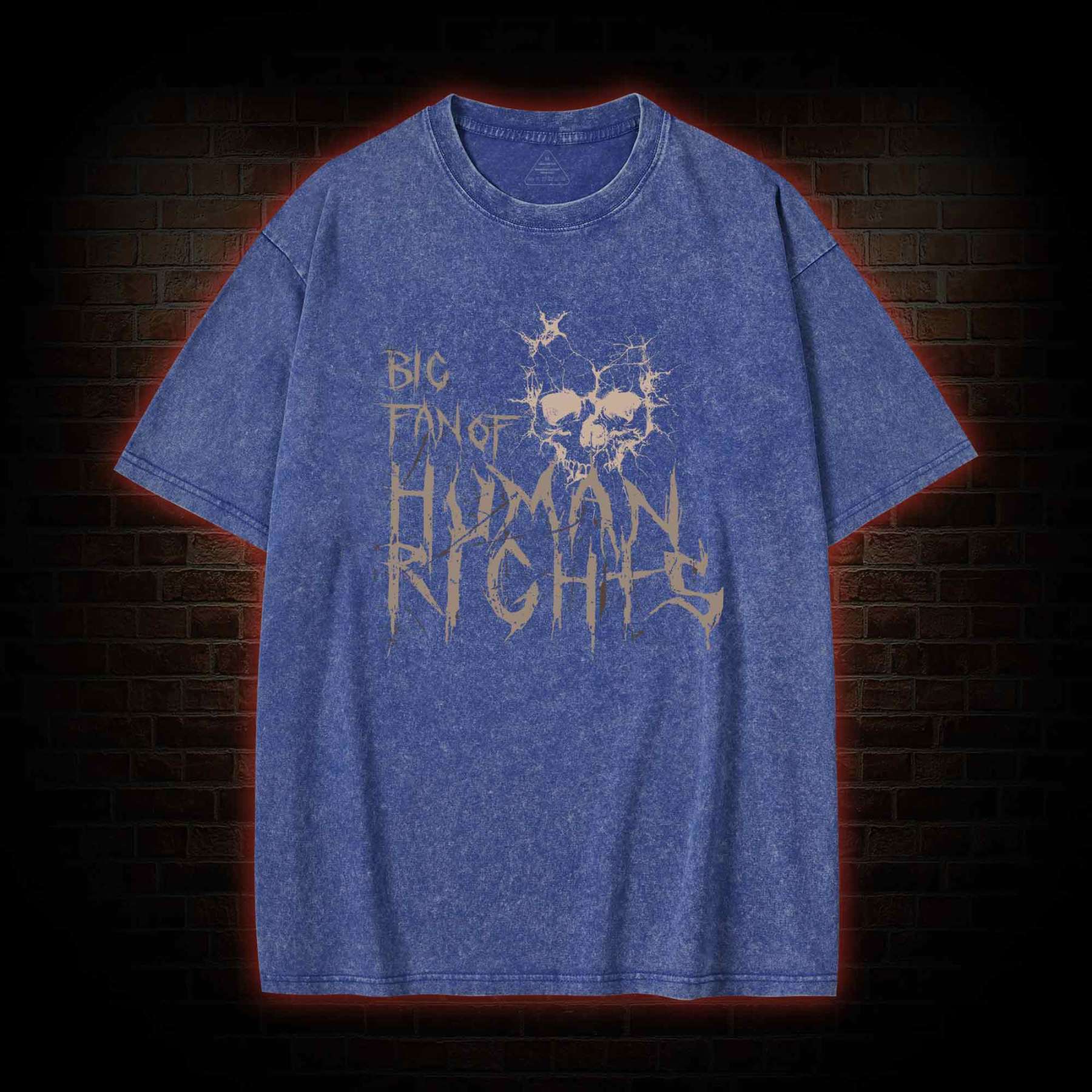 Big Fan of Human Rights Washed T-shirt
