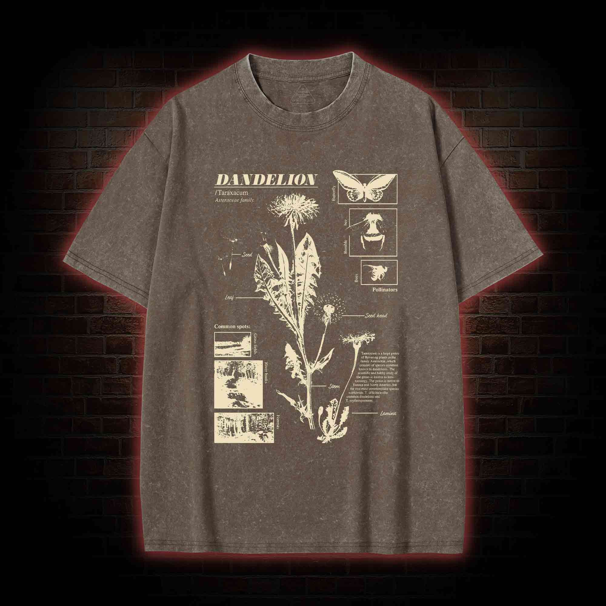 Dandelion Washed T-shirt