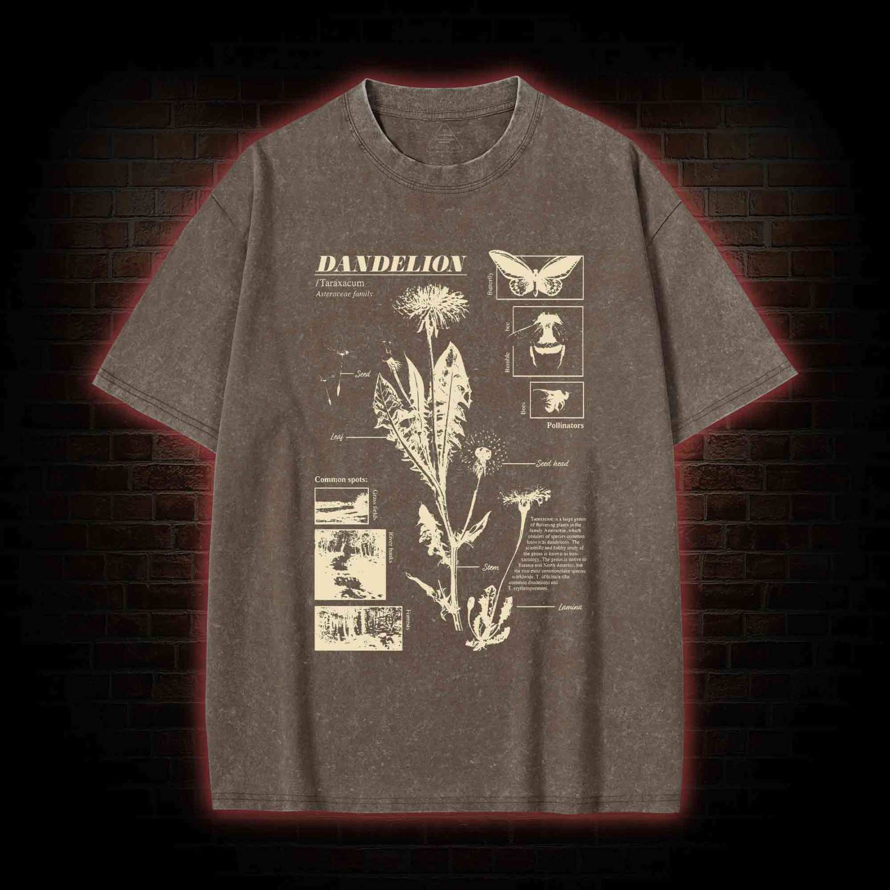 Dandelion Washed T-shirt