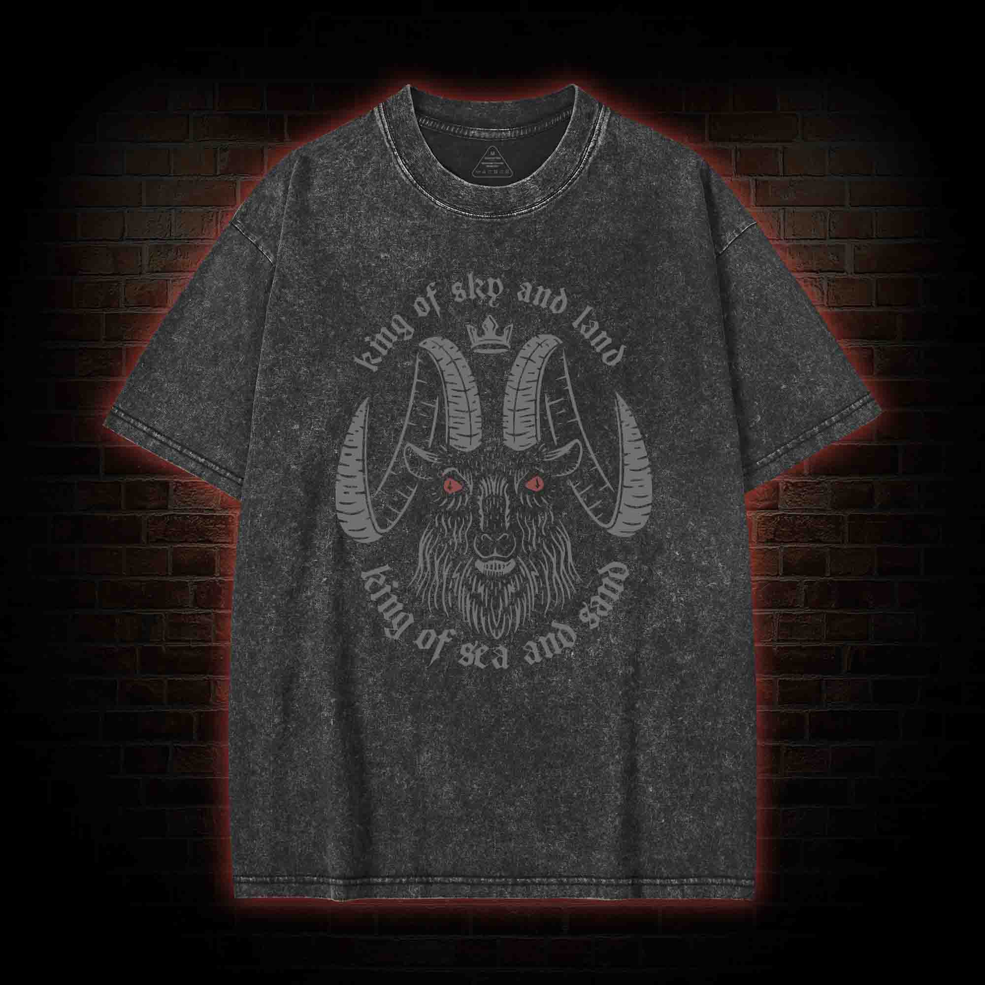 King of Sky and Land Washed T-shirt