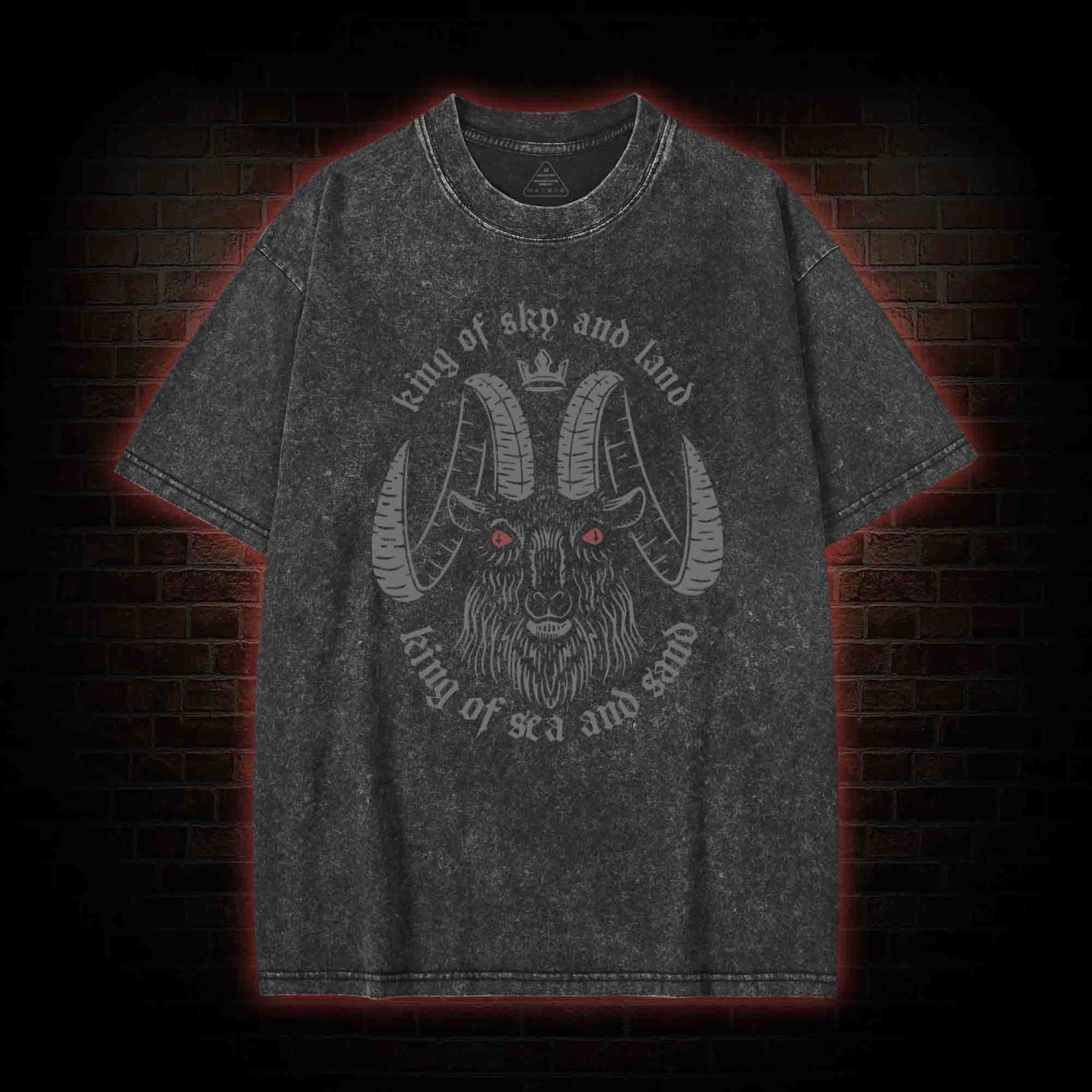 King of Sky and Land Washed T-shirt
