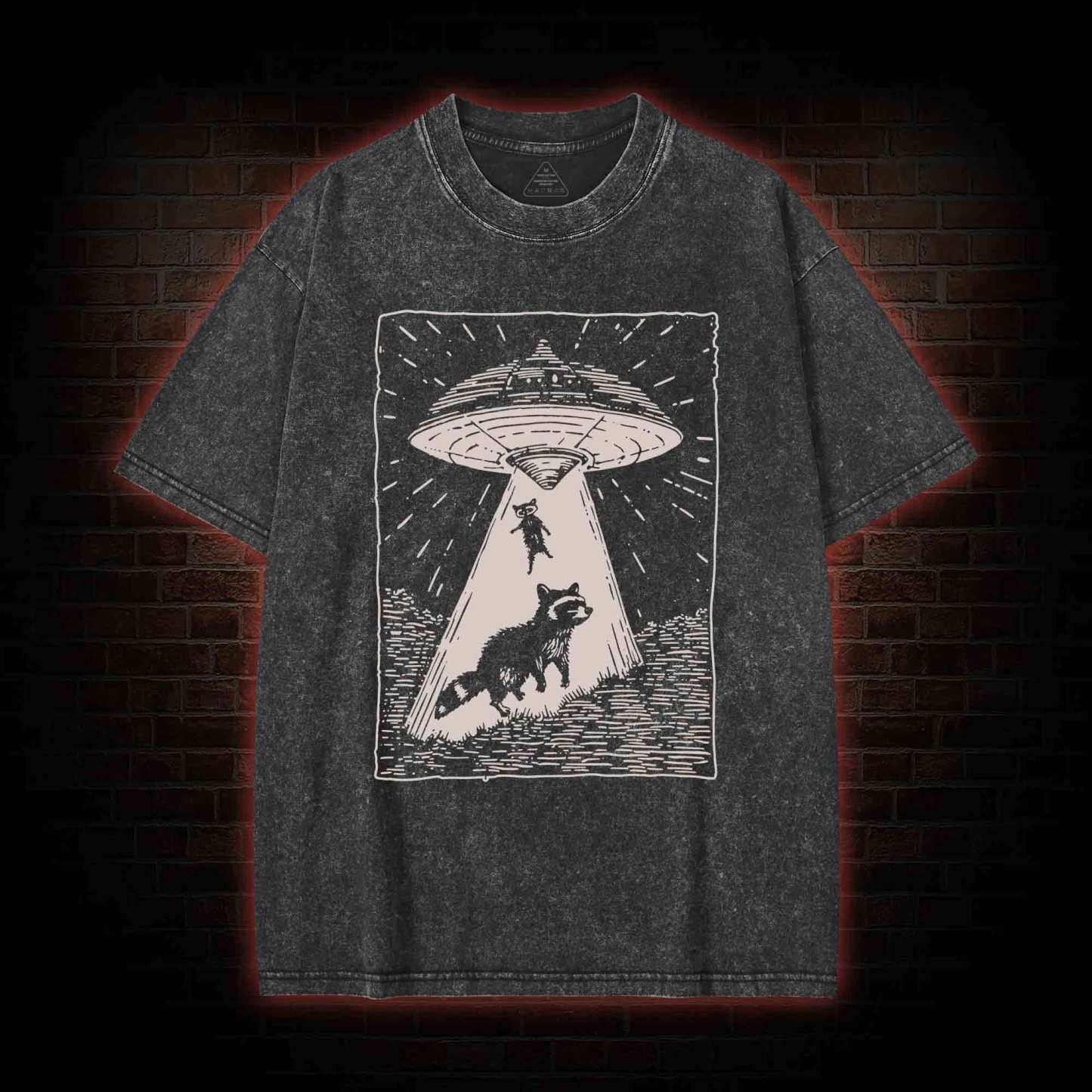 UFO and Raccoons Washed T-shirt