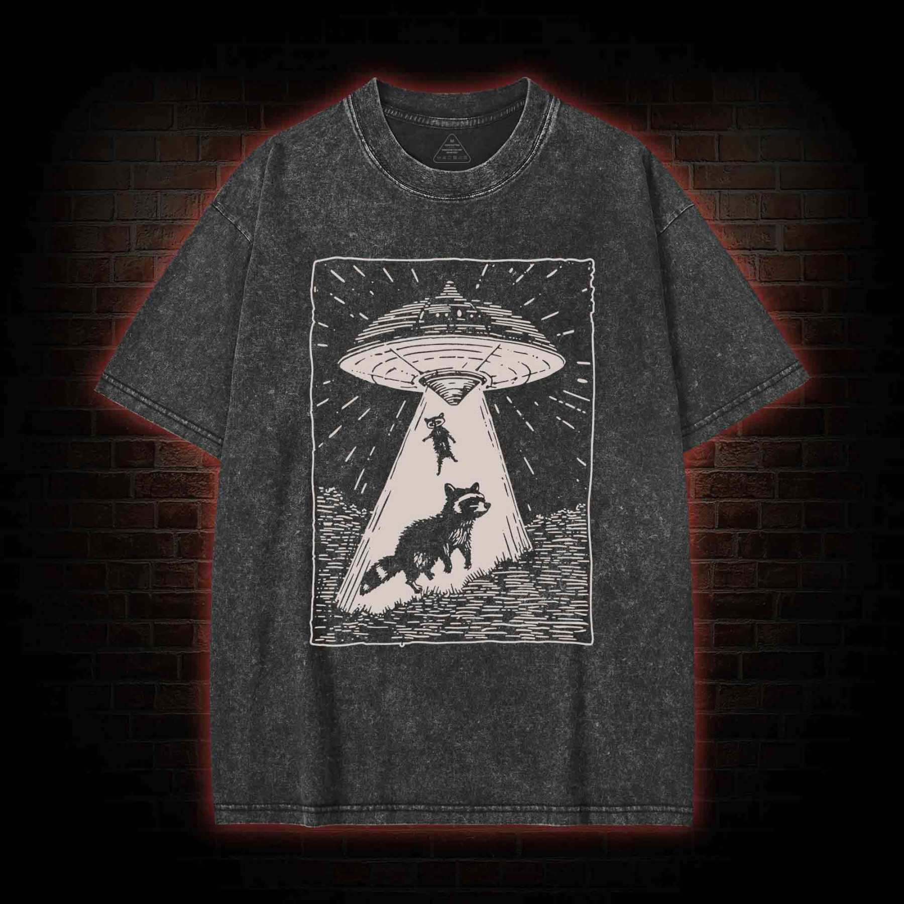 UFO and Raccoons Washed T-shirt