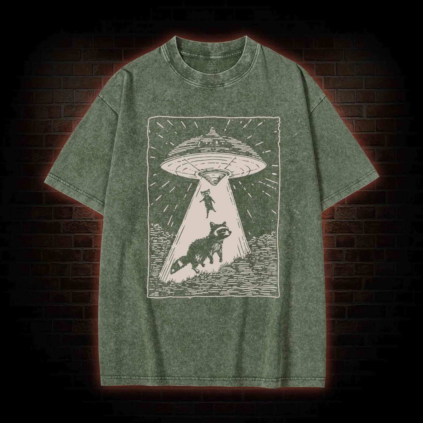 UFO and Raccoons Washed T-shirt