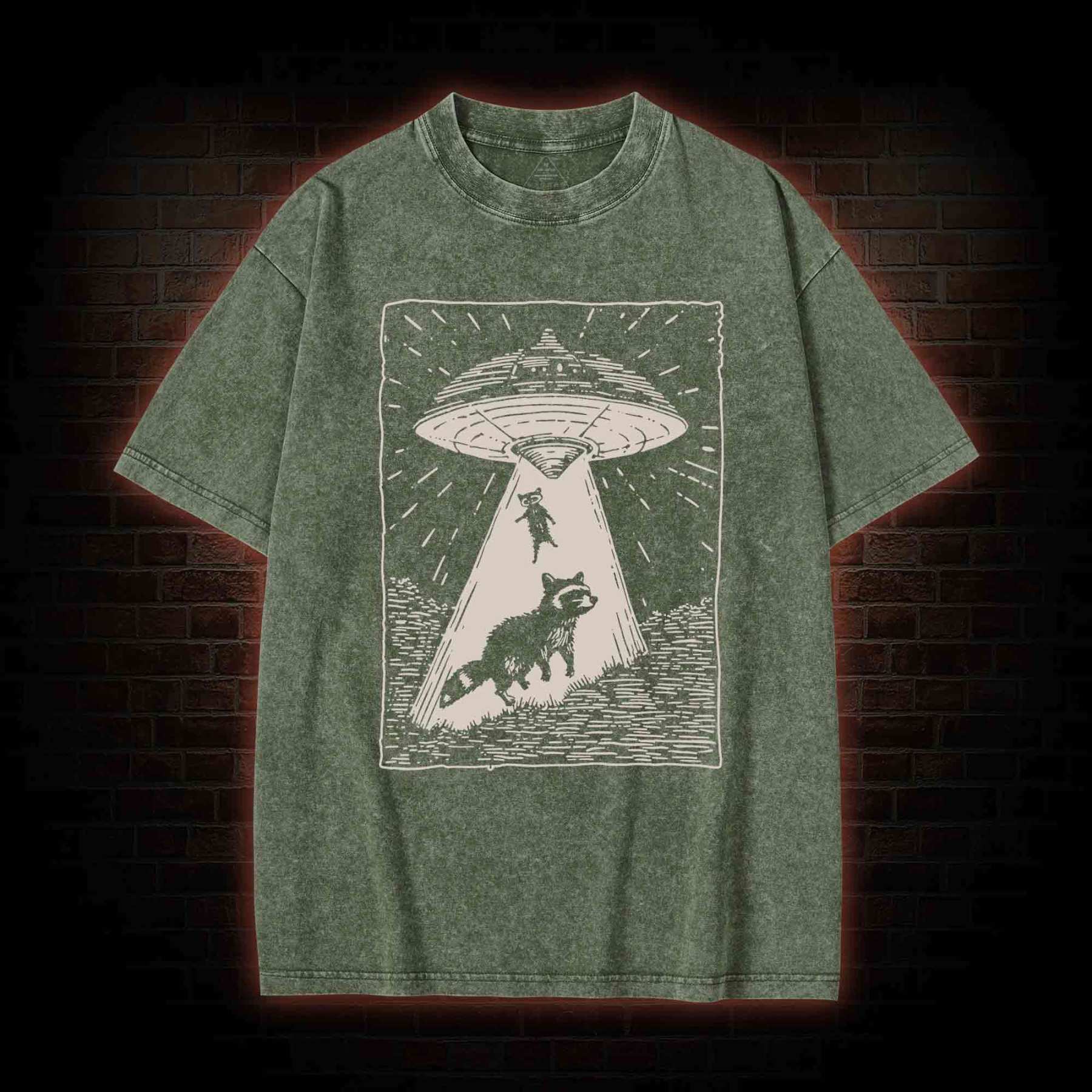 UFO and Raccoons Washed T-shirt