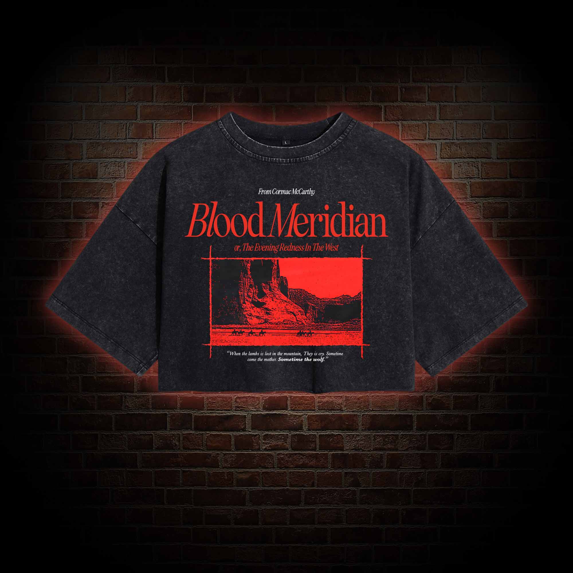 Blood Meridian Washed Cropped T-shirts