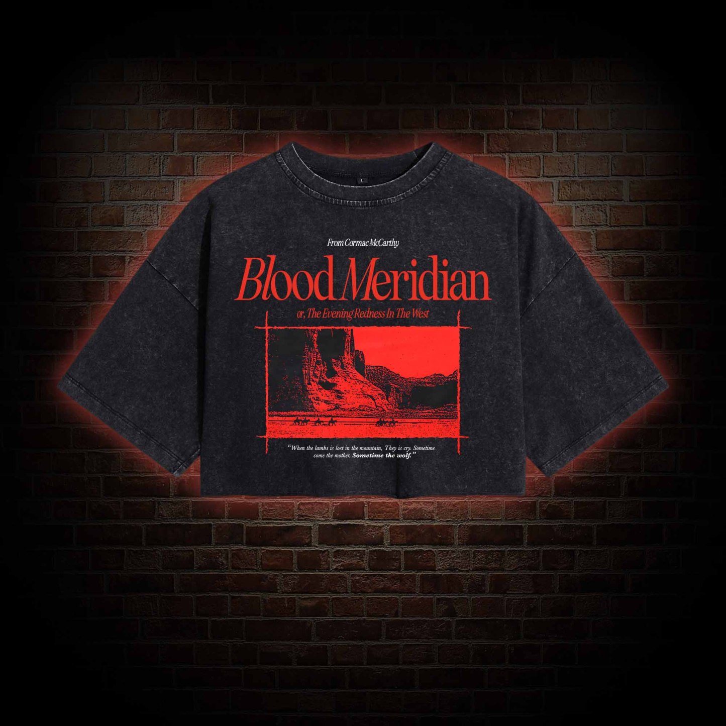 Blood Meridian Washed Cropped T-shirts