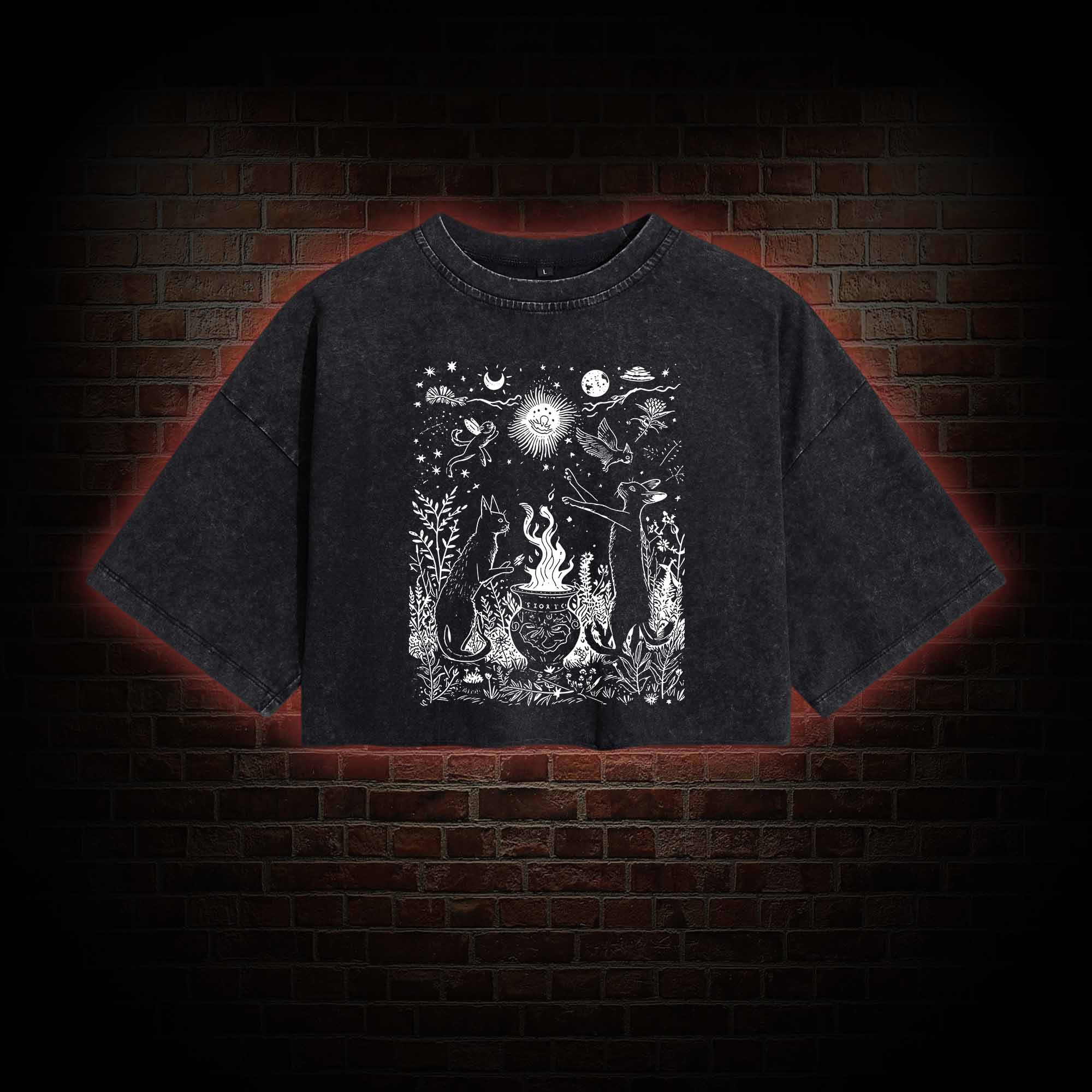 Celestial Cat Washed Cropped T-shirts