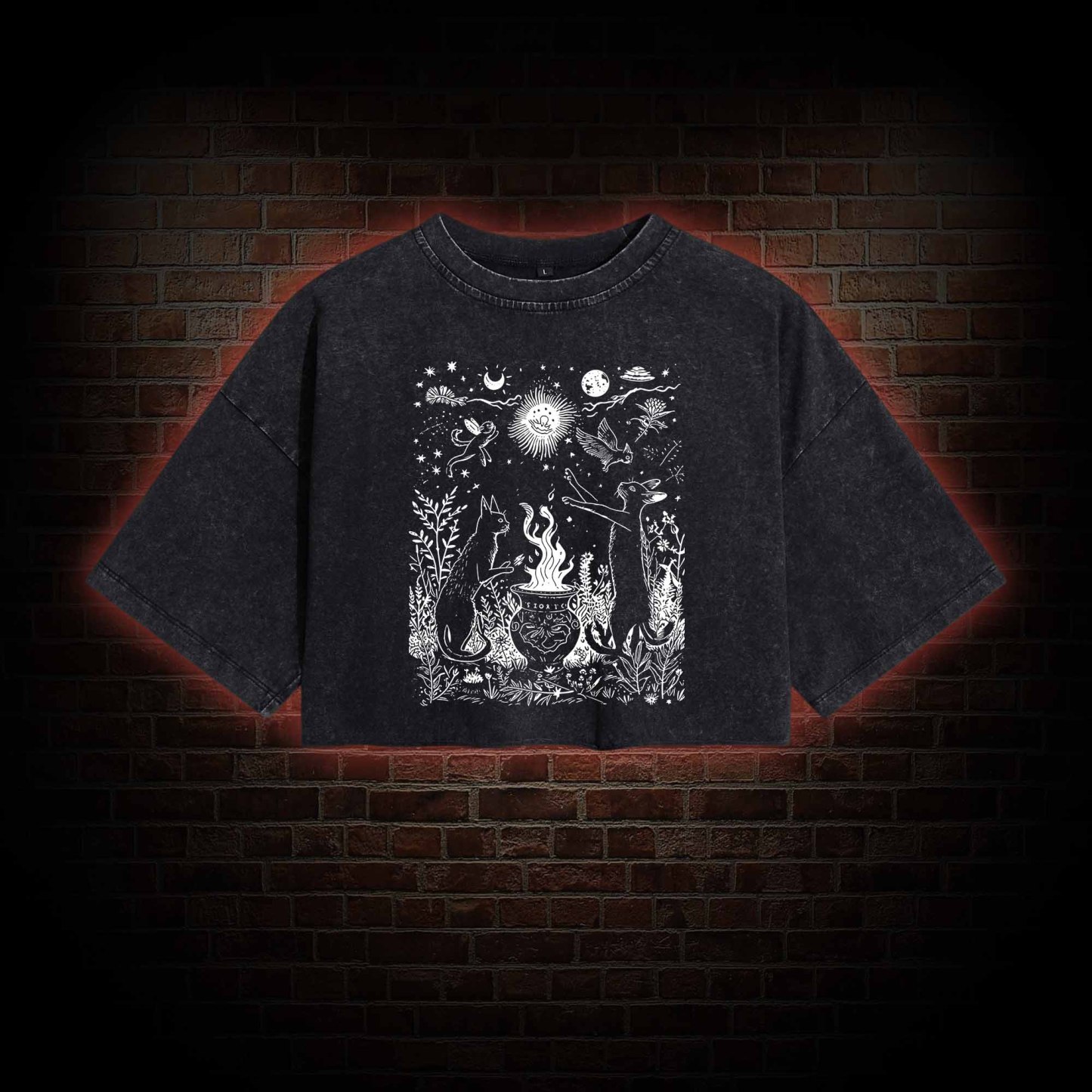 Celestial Cat Washed Cropped T-shirts