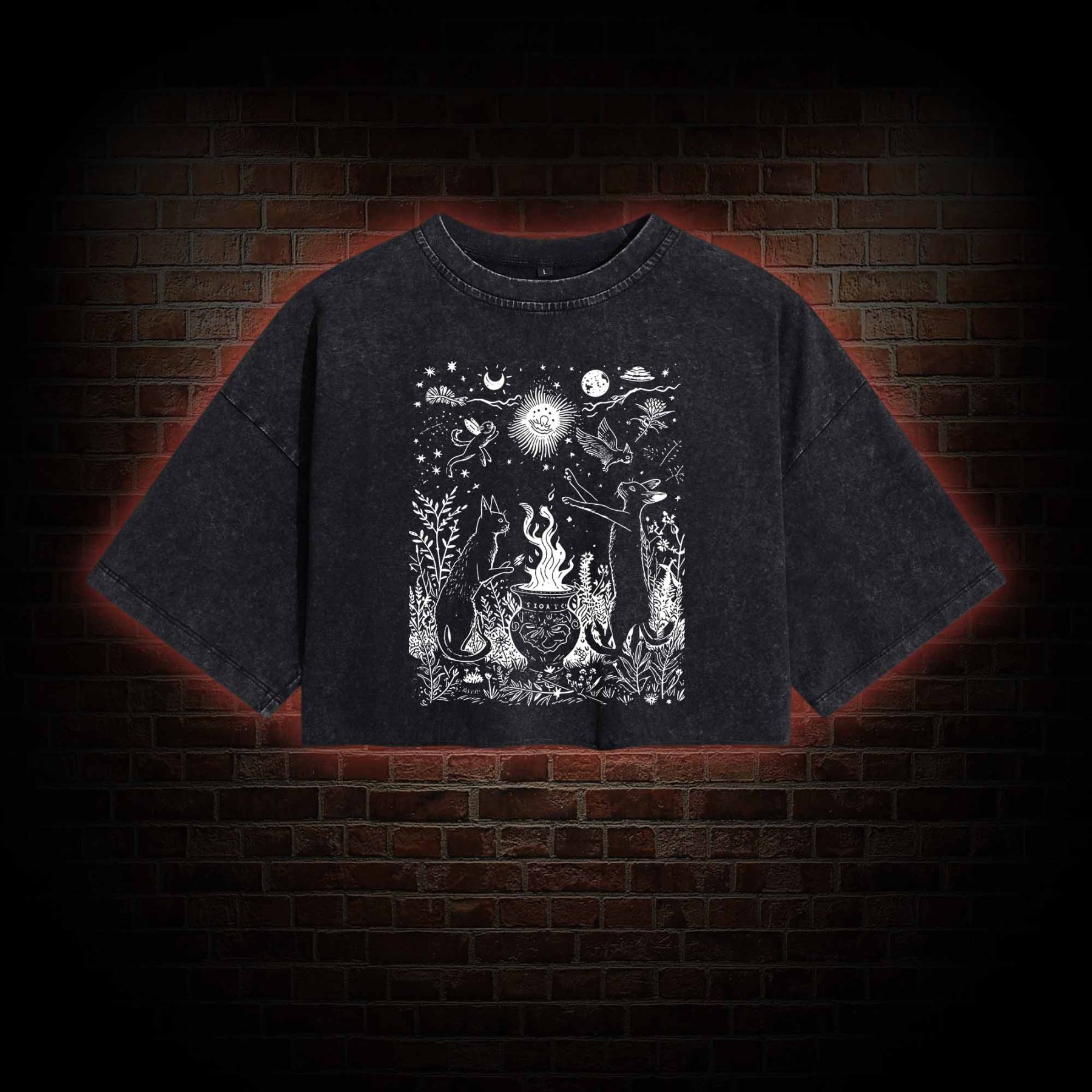 Celestial Cat Washed Cropped T-shirts