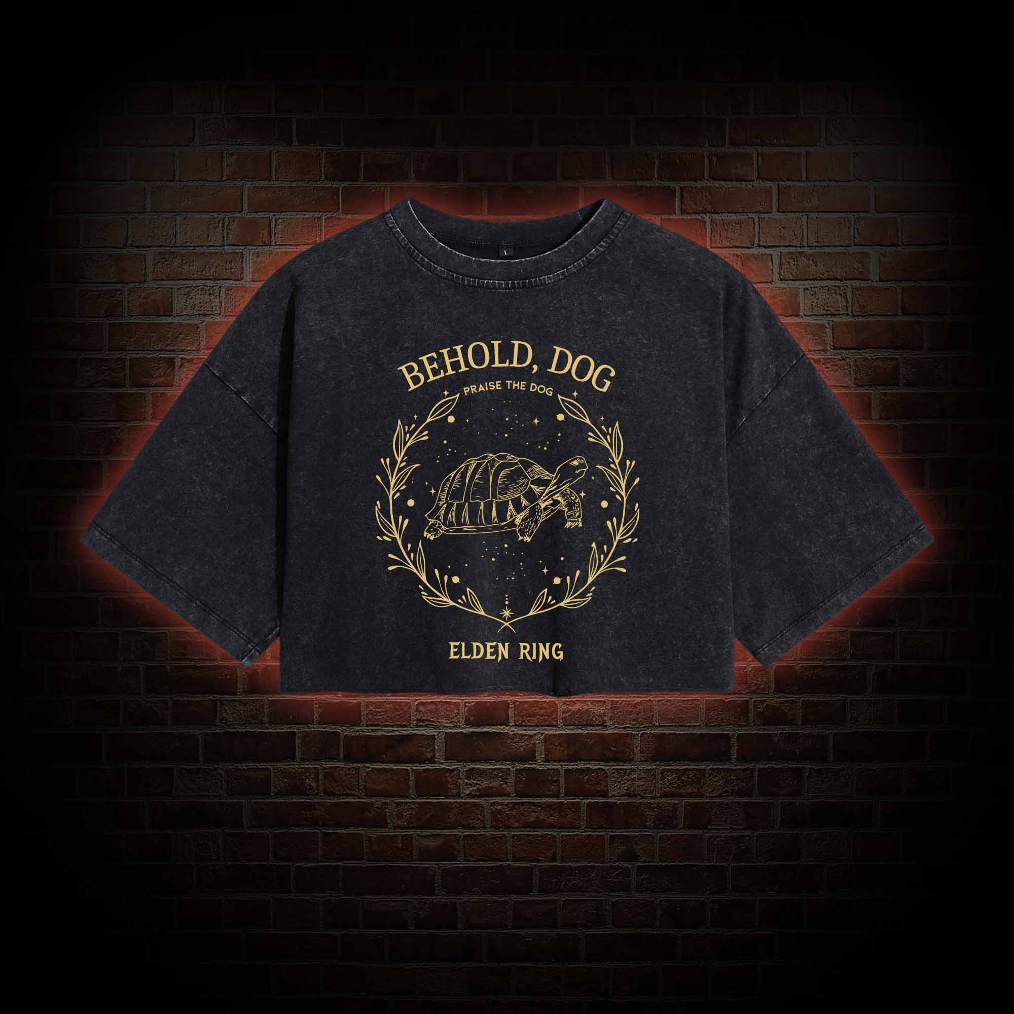 Behold Dog Washed Cropped T-shirts