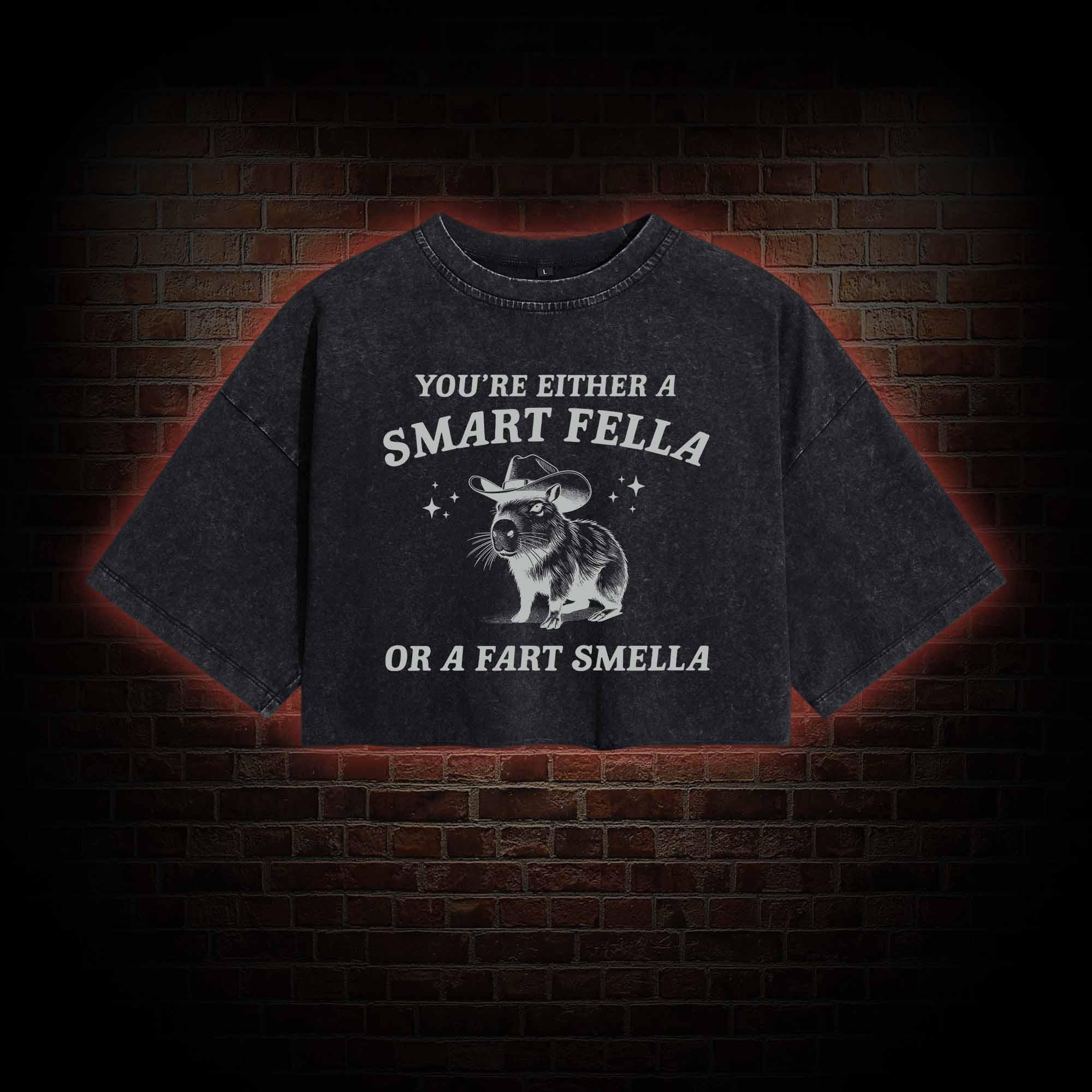 Smart Fella Or Fart Smella Crop Top