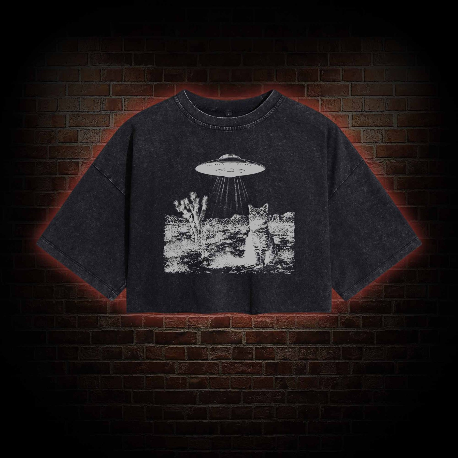 Ufo Cowboy Cat Washed Cropped T-shirts