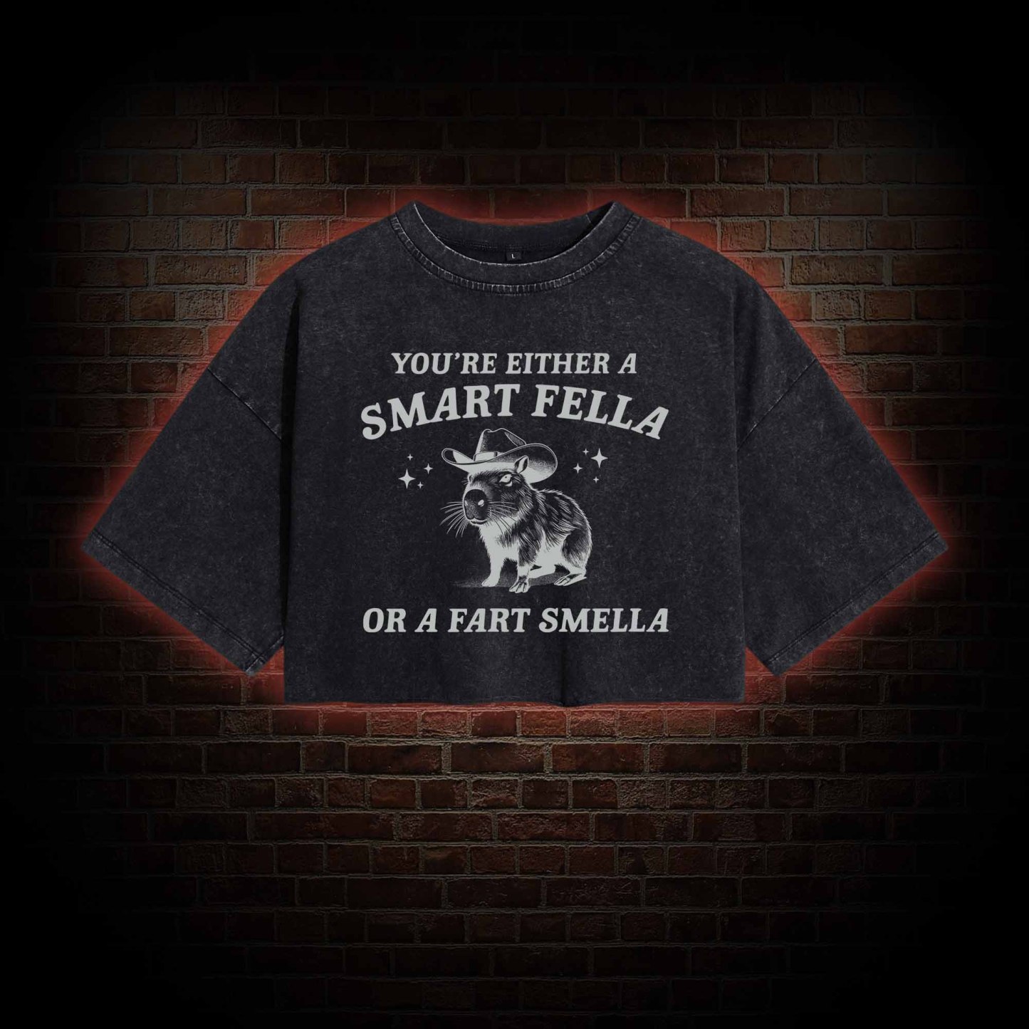 Smart Fella Or Fart Smella Washed Cropped T-shirts