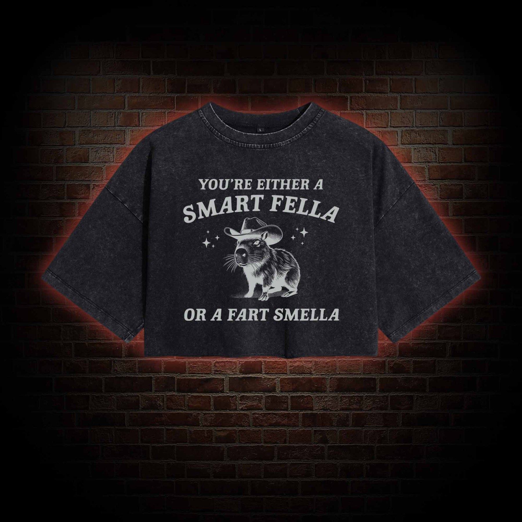 Smart Fella Or Fart Smella Washed Cropped T-shirts