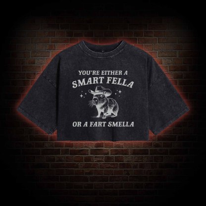 Smart Fella Or Fart Smella Crop Top