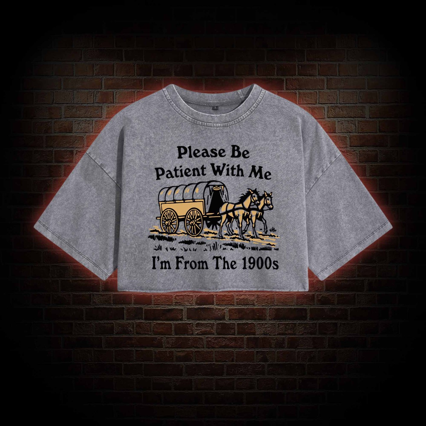 Please Be Patient With Me Washed Cropped T-shirts