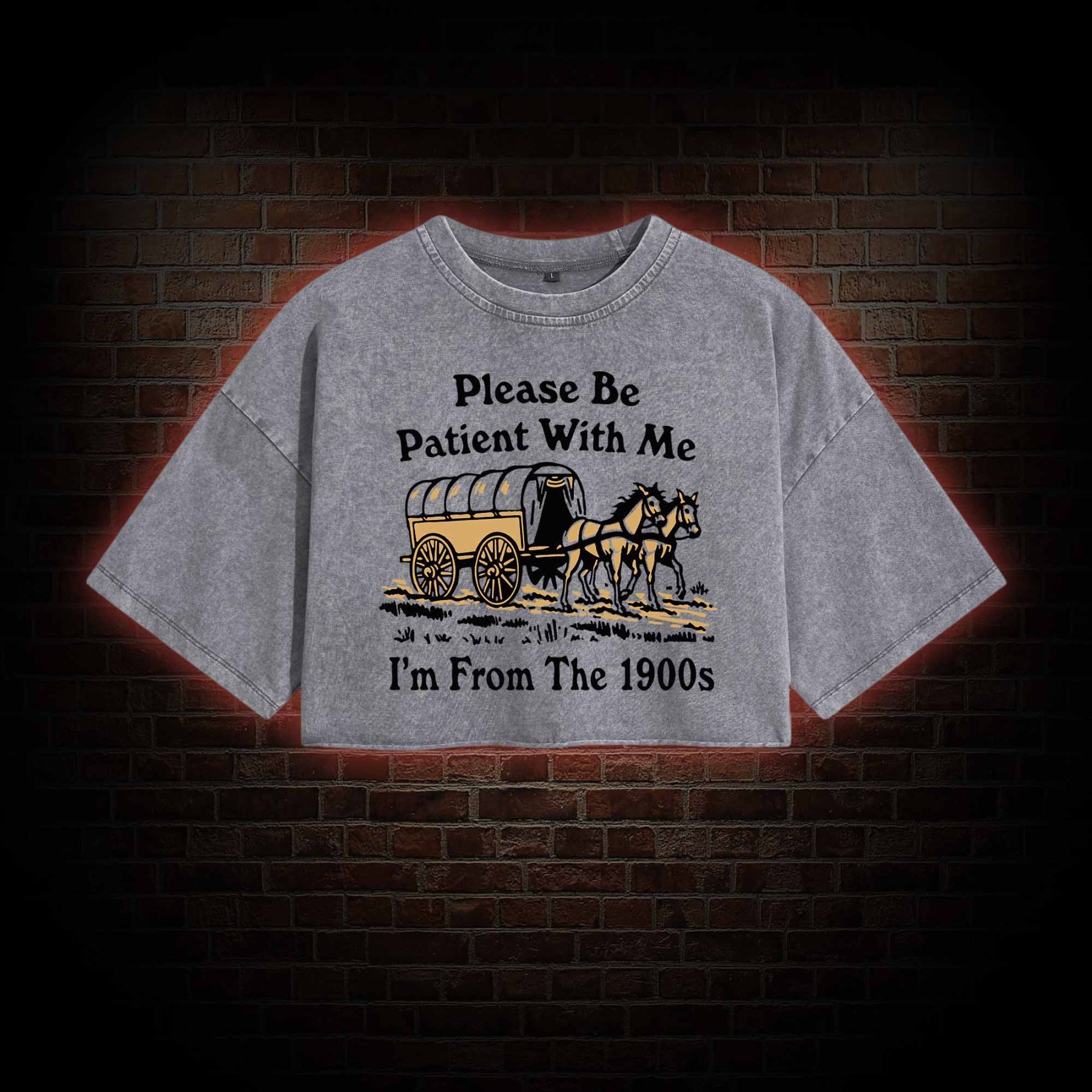 Please Be Patient With Me Washed Cropped T-shirts