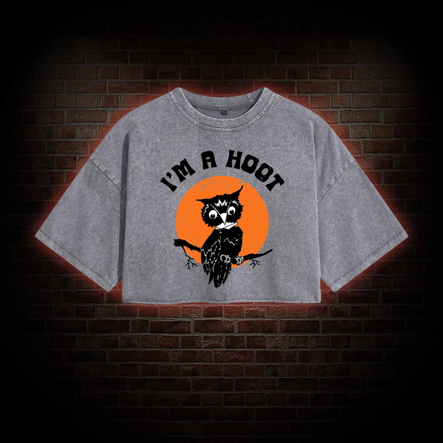 I'm A Hoot Washed Cropped T-shirts
