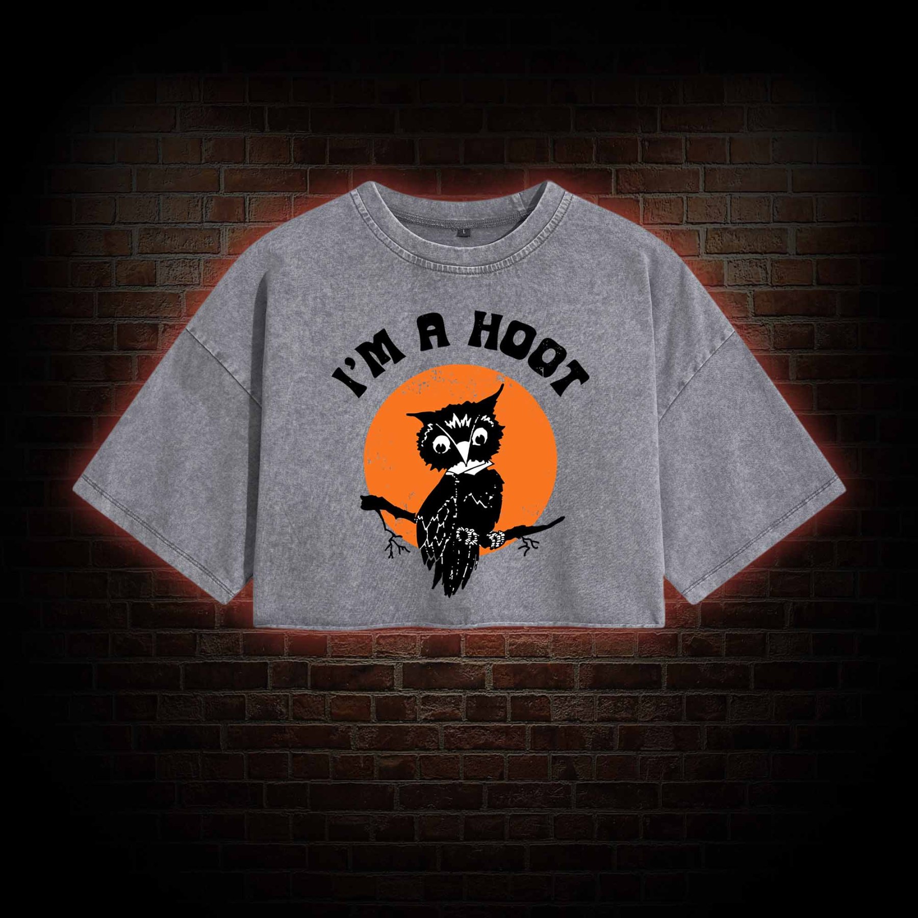 I'm A Hoot Washed Cropped T-shirts