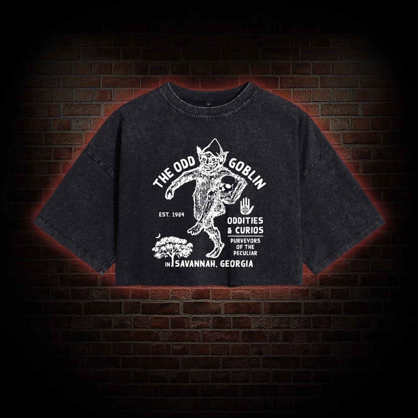 The Odd Goblin Washed Cropped T-shirts
