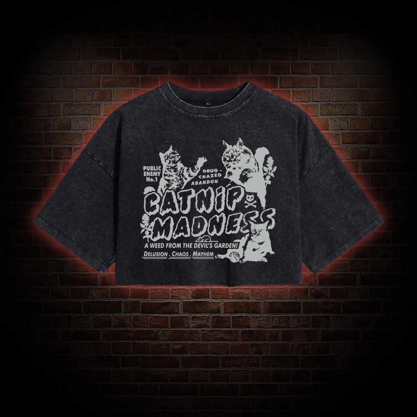 Catnip Madness Washed Cropped T-shirts