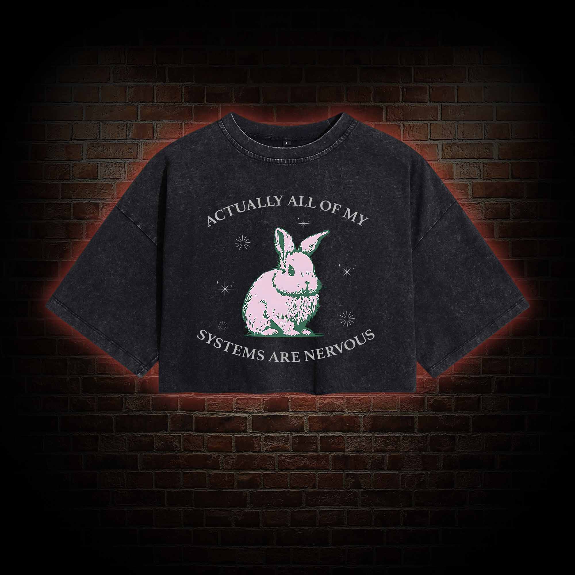 Actually All Of My Systems Are Nervous Washed Cropped T-shirts